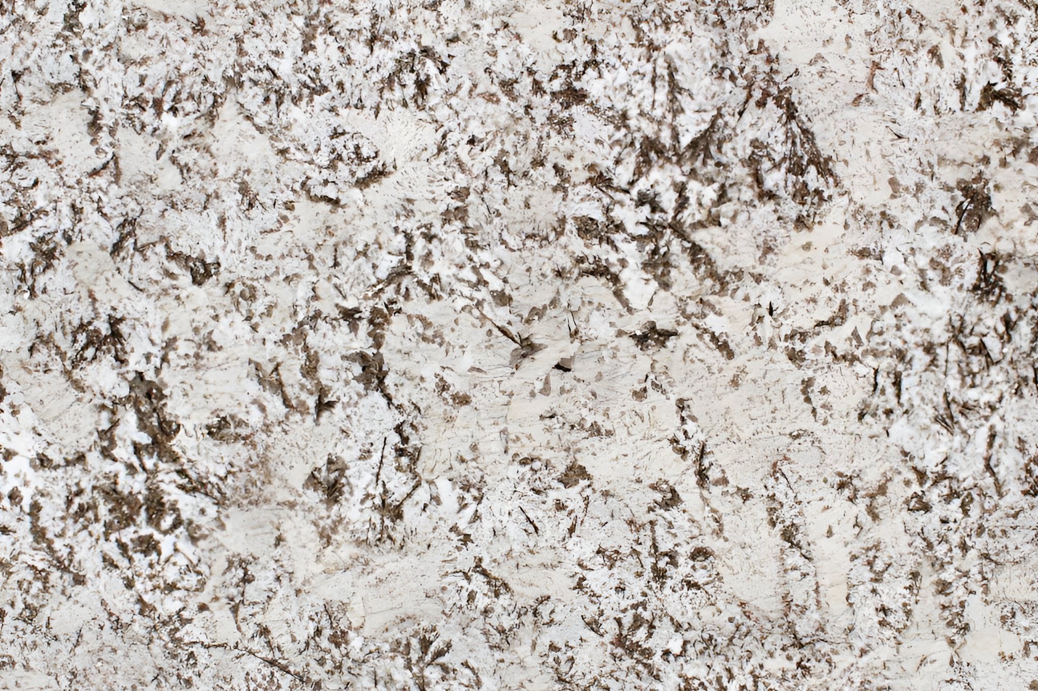 Bianco Antico | Granite