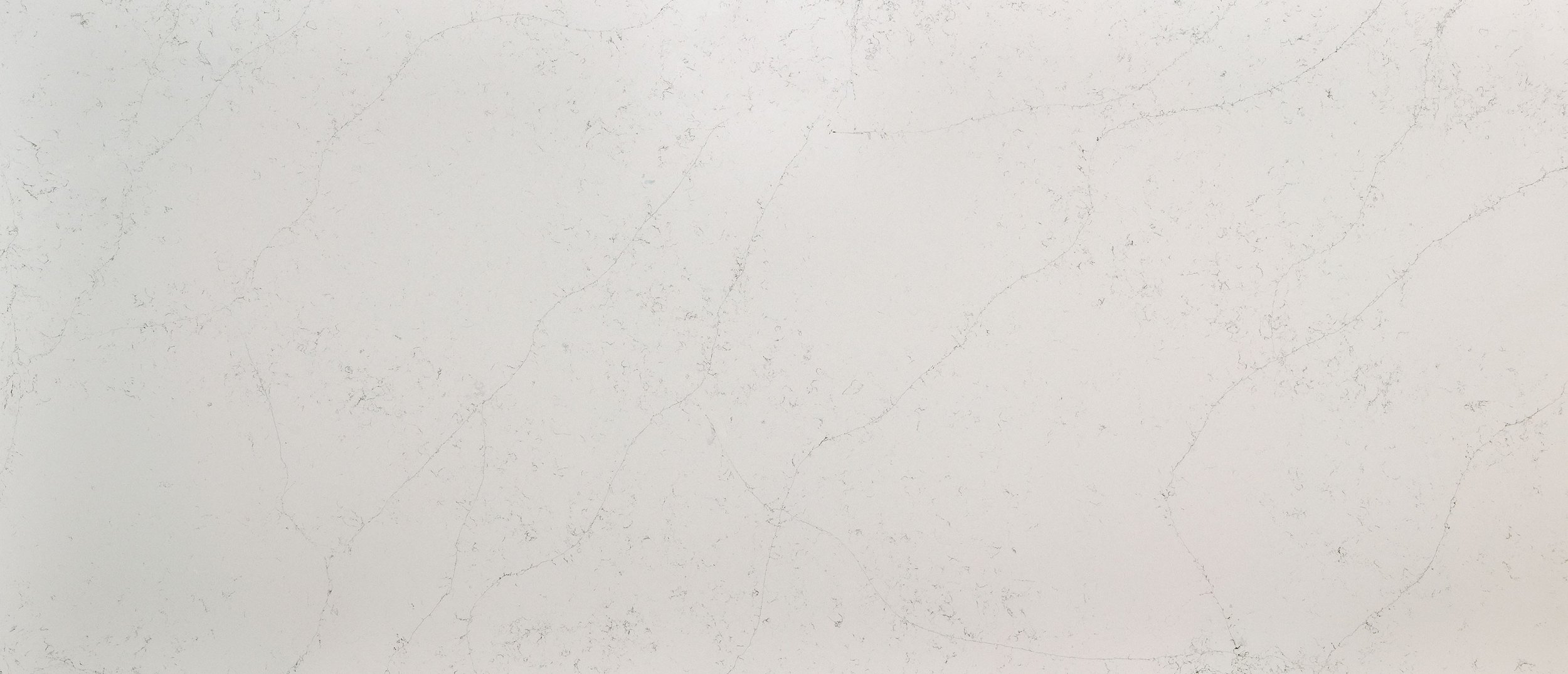 MSI Surfaces | Calacatta Botanica