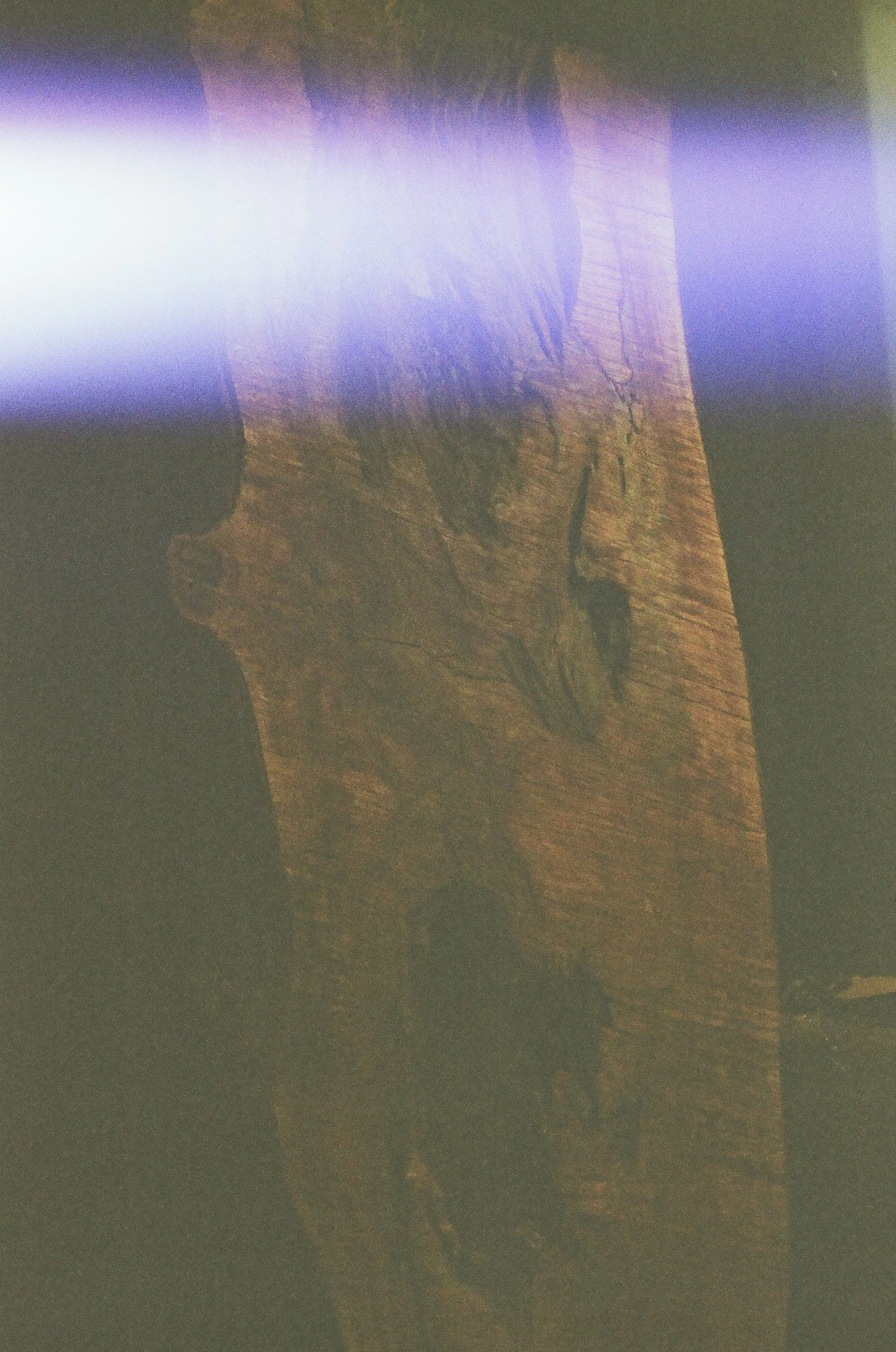 000033030021.jpg