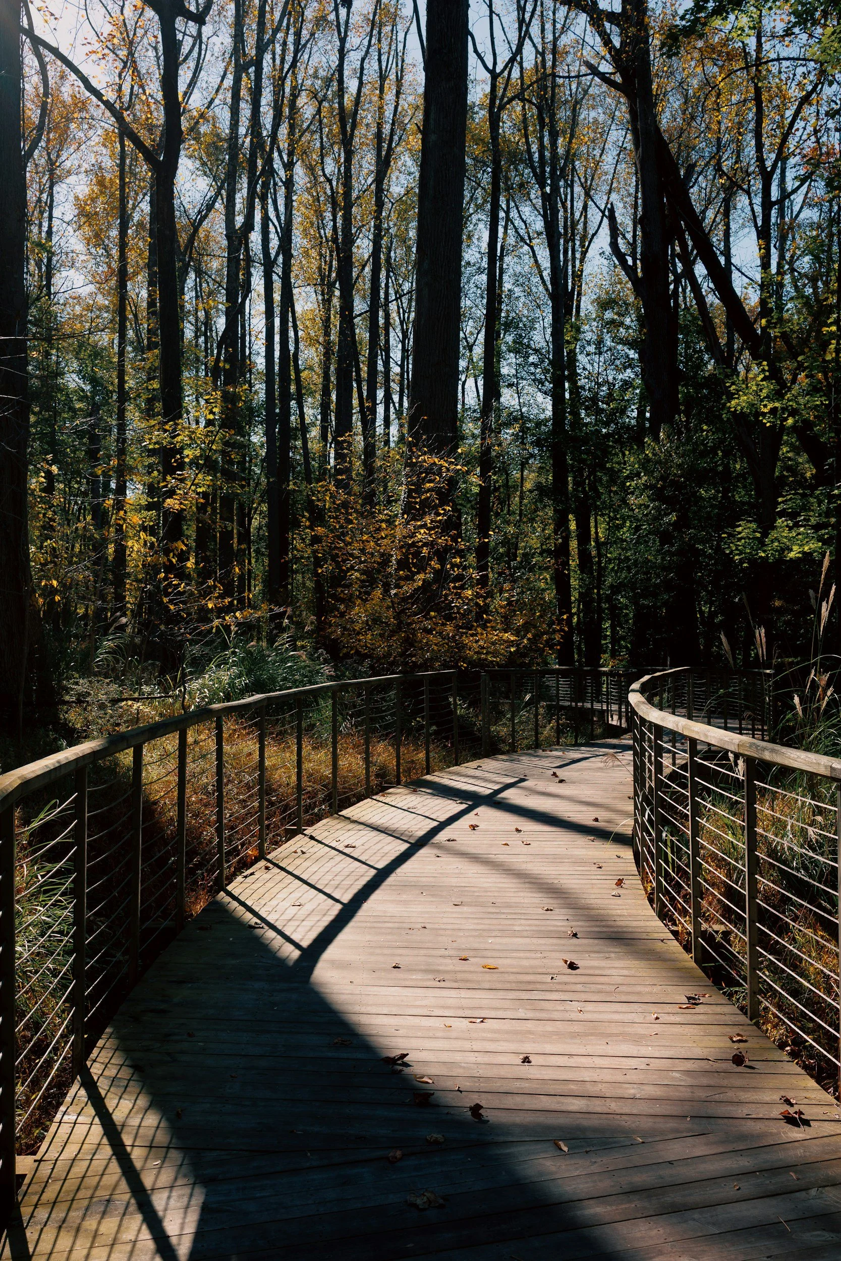 therapy for seasonal transitions | pennsylvania pittsburgh philadelphia | tennessee memphis nashville