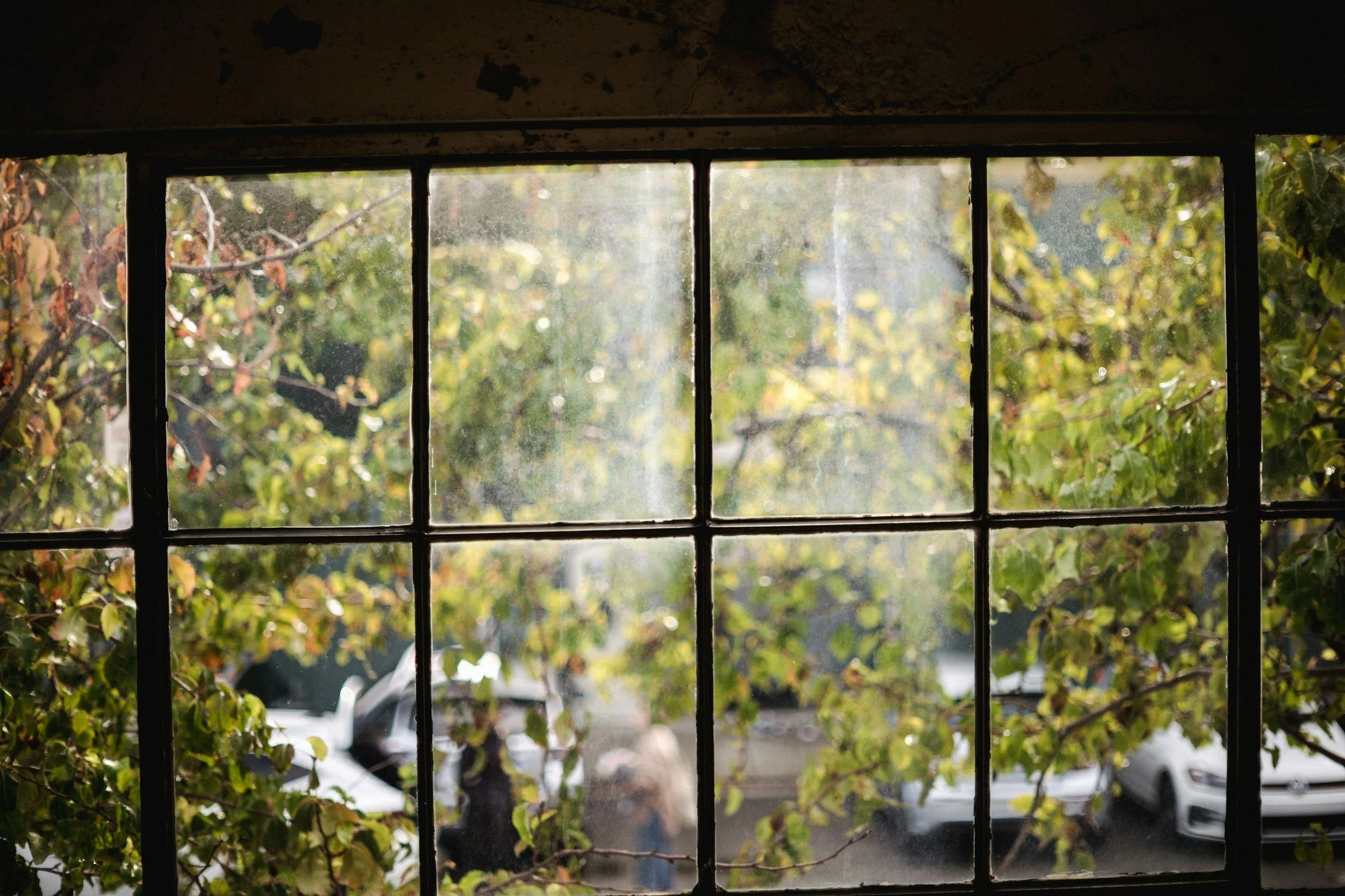 quiet moment looking out a window | perfectionism therapy pennsylvania