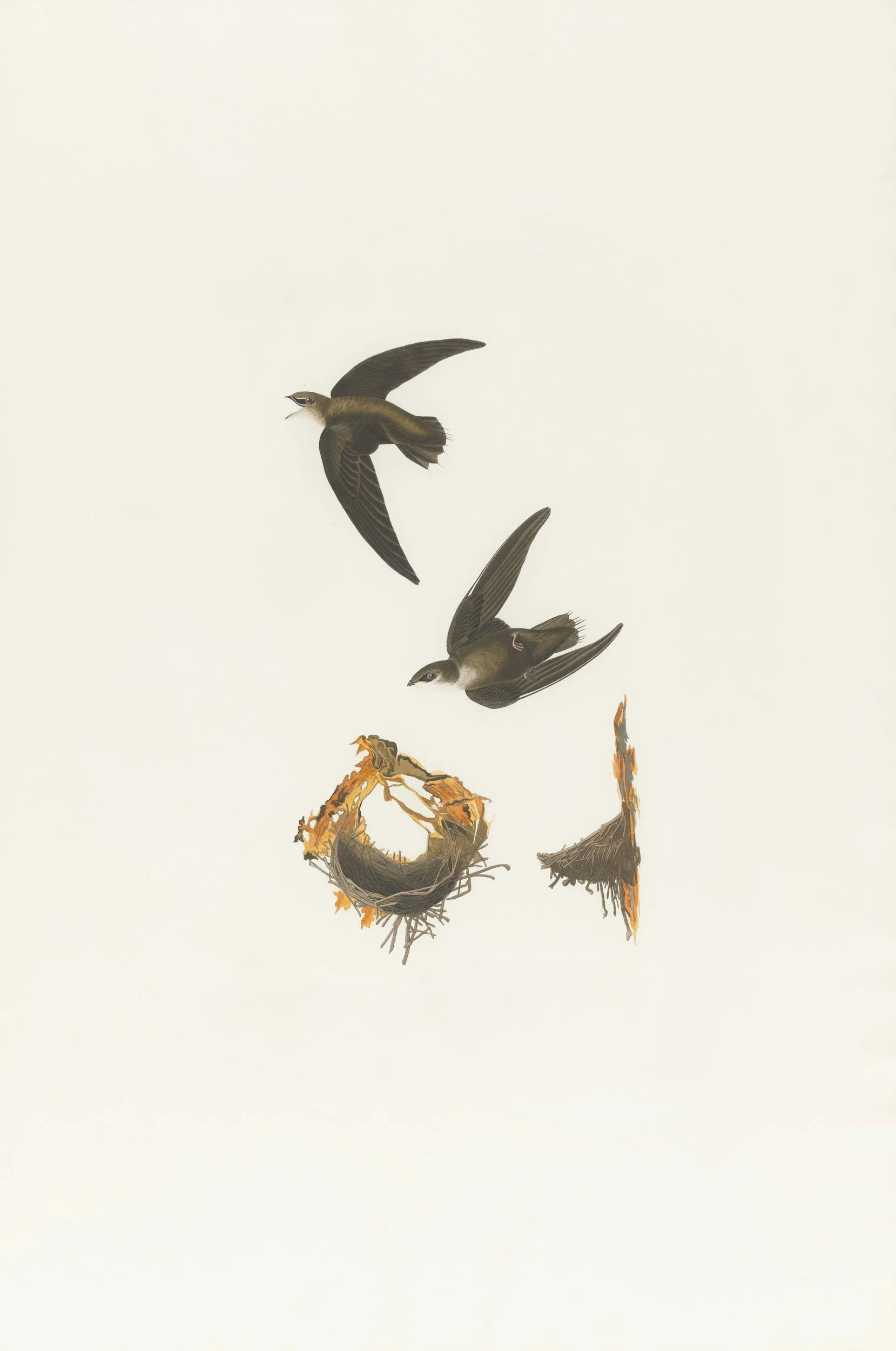 swift bird | therapy intensive pittsburgh pa memphis tn