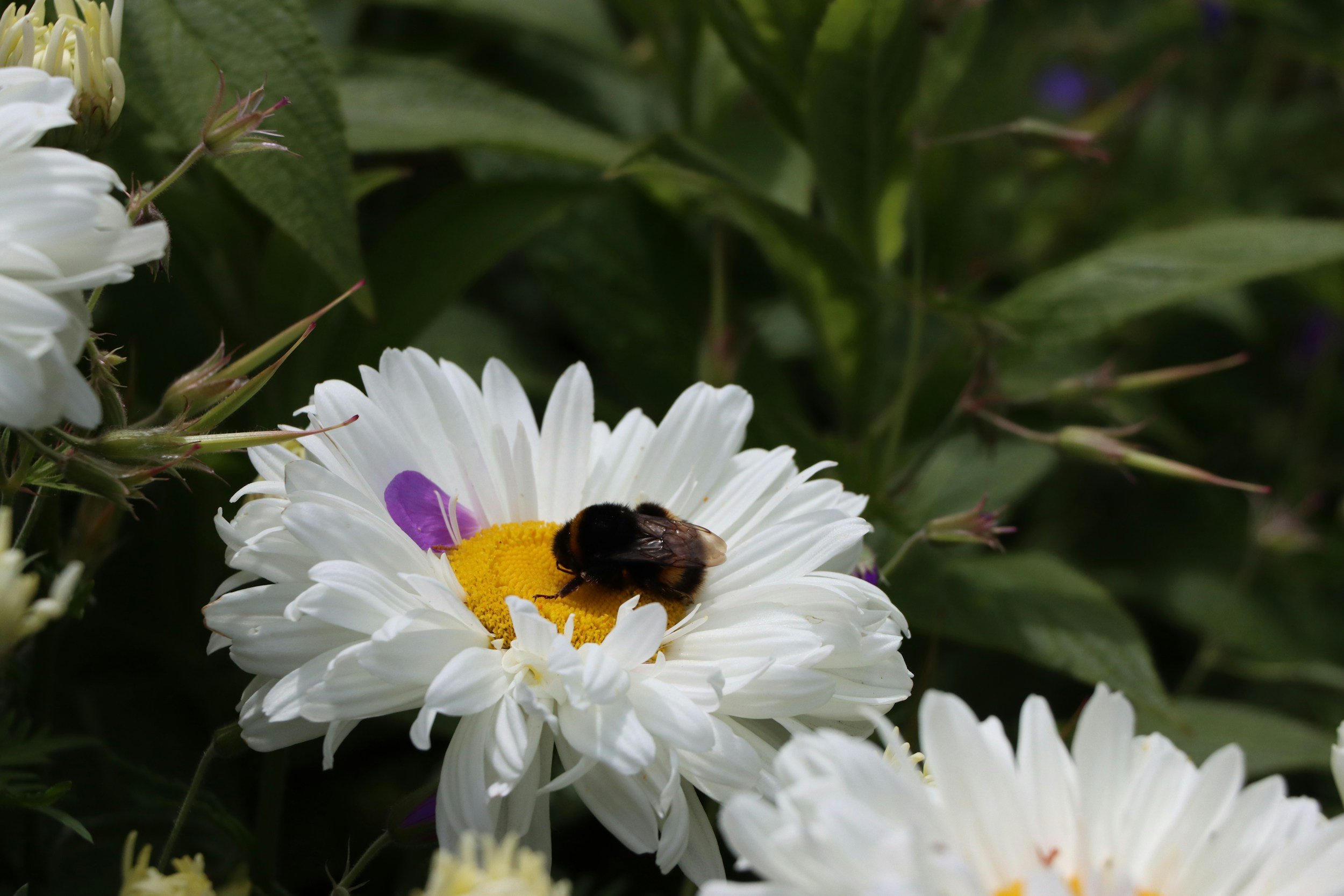 Five Summer Self‑Care Tips: Why Therapy Intensives Should Be #1