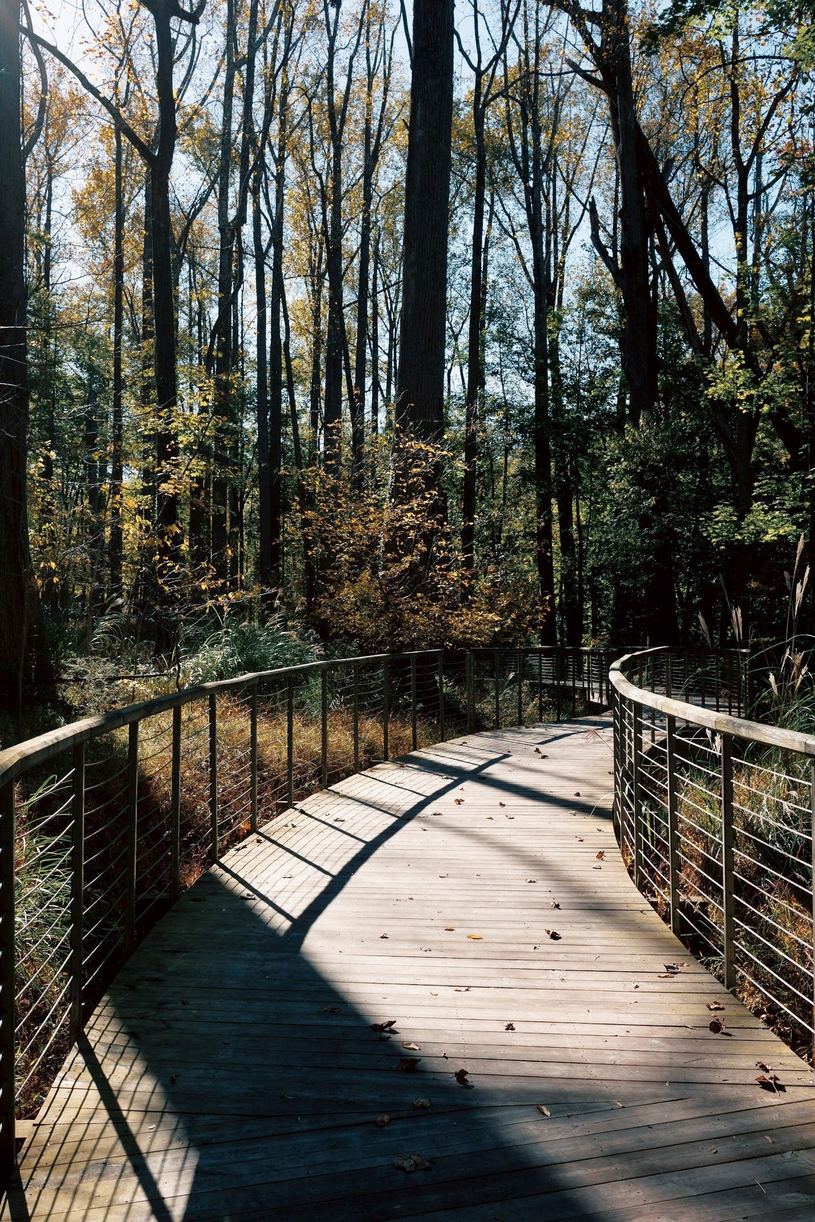 therapy for seasonal transitions | EMDR somatic IFS therapy | pennsylvania pittsburgh philadelphia | tennessee memphis nashville