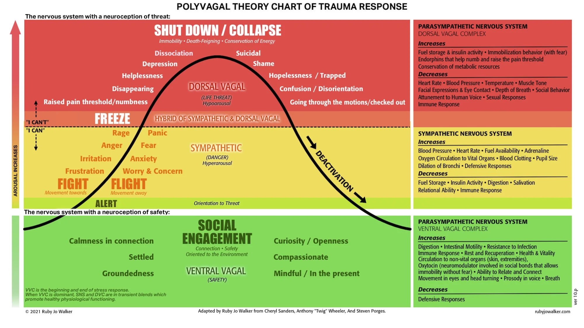 polyvagal theory chart | stress and trauma therapy pittsburgh memphis