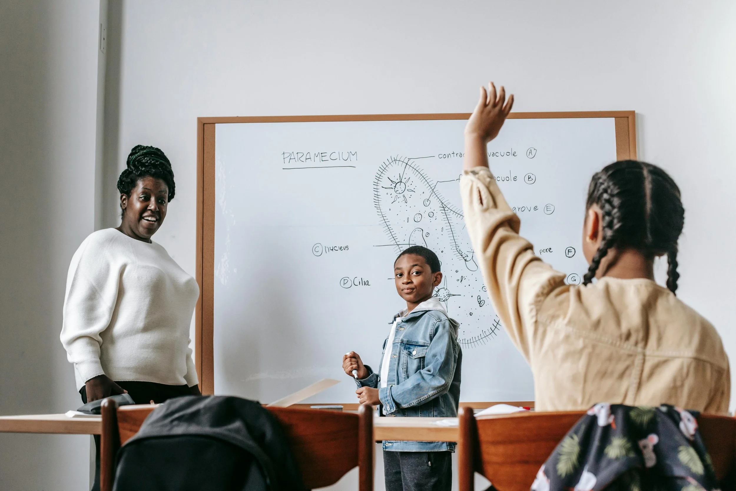 When is the Right Time for an Evaluation?