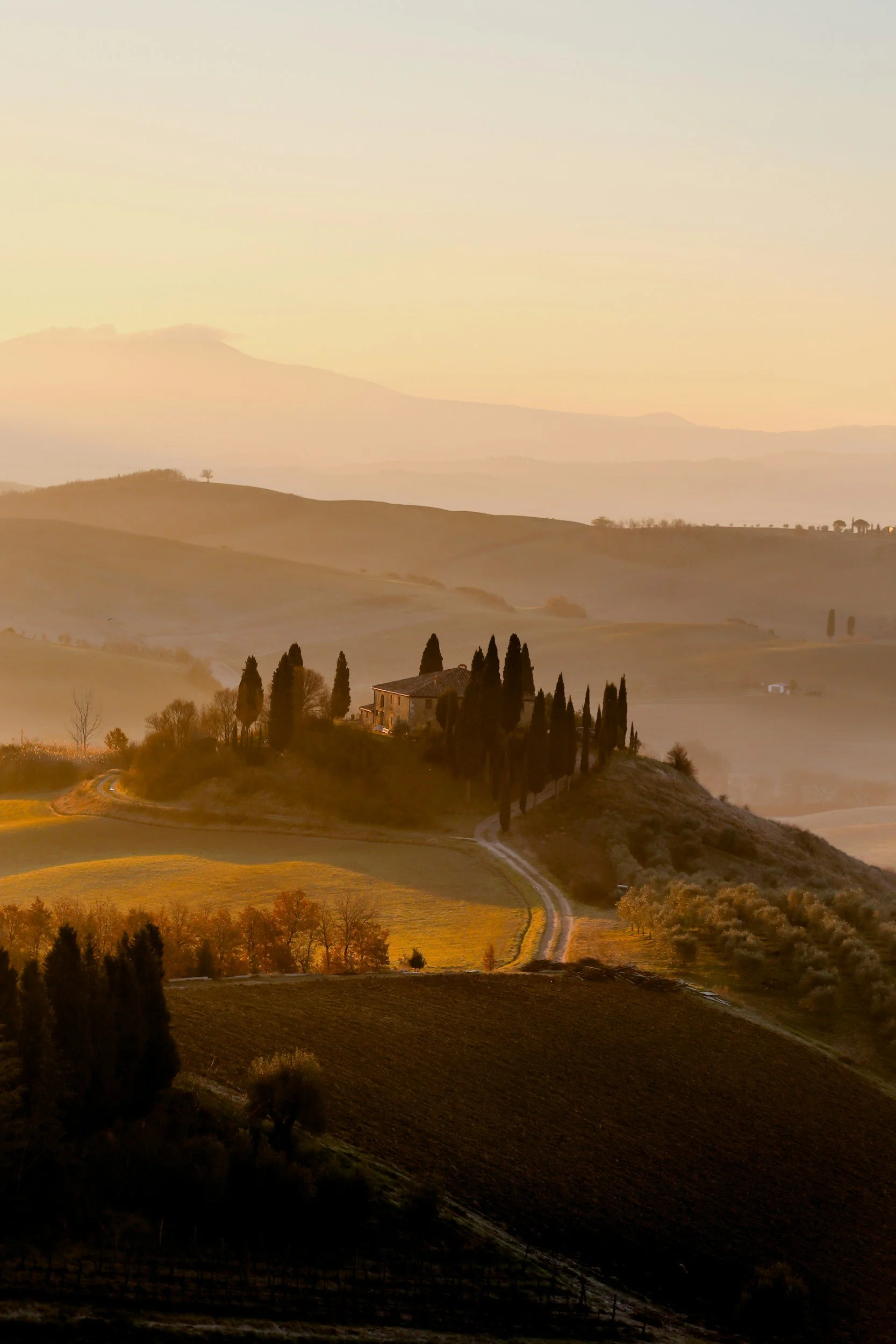 A scenic landscape of rolling hills at sunrise or sunset with a house surrounded by tall cypress trees on a hill, and a winding dirt road leading up to it, with a soft mist in the background.