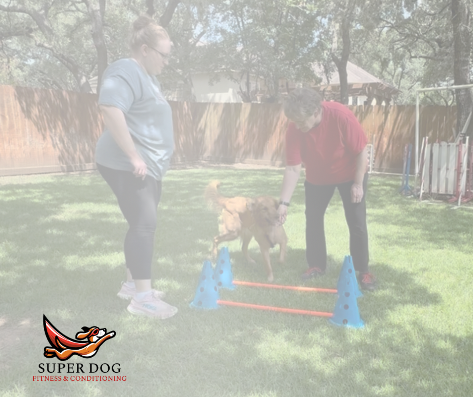 6 Session Private Fitness Package