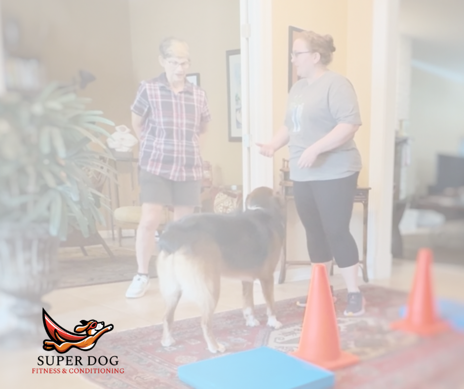 Single Private Fitness Session