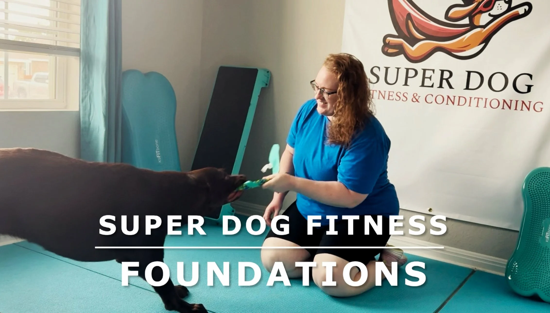 Super Dog Fitness Foundations