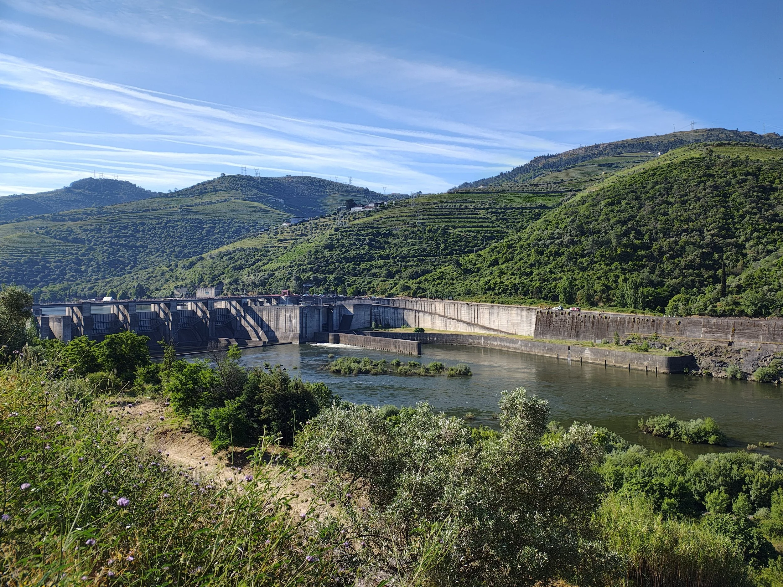 processed_IMG_20250525_090332847_HDR.jpg