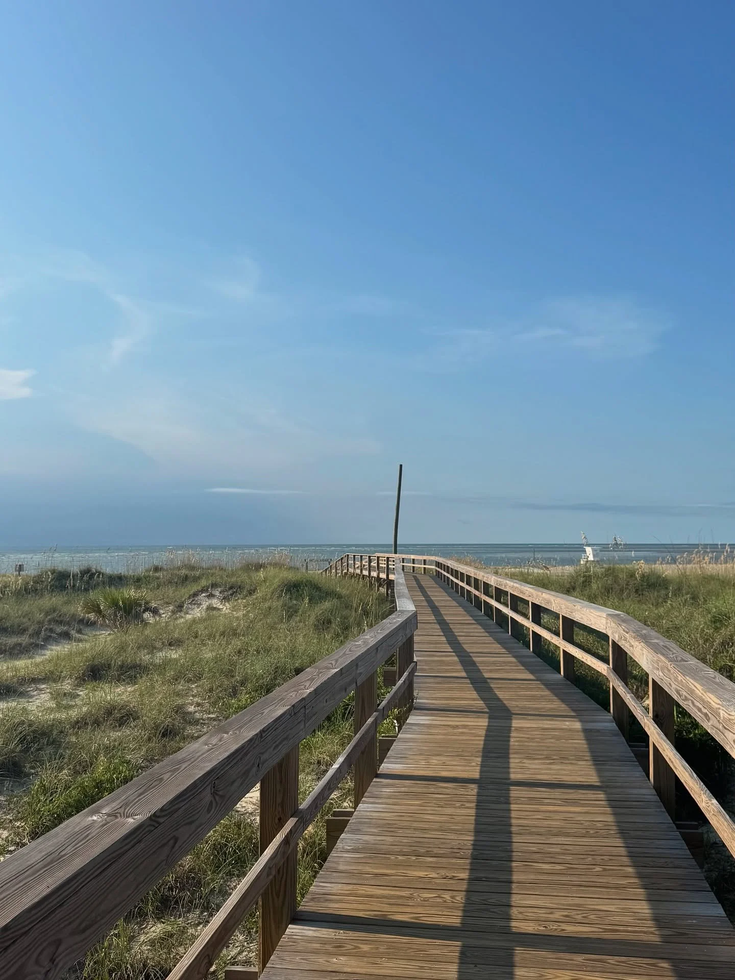 No car? No problem. The north end of Tybee is just a short stroll away 🚶‍♀️ 
📷: @ellifeingold 
#VisitTybee #VisitTybeeIsland #Tybee #VisitSavannah