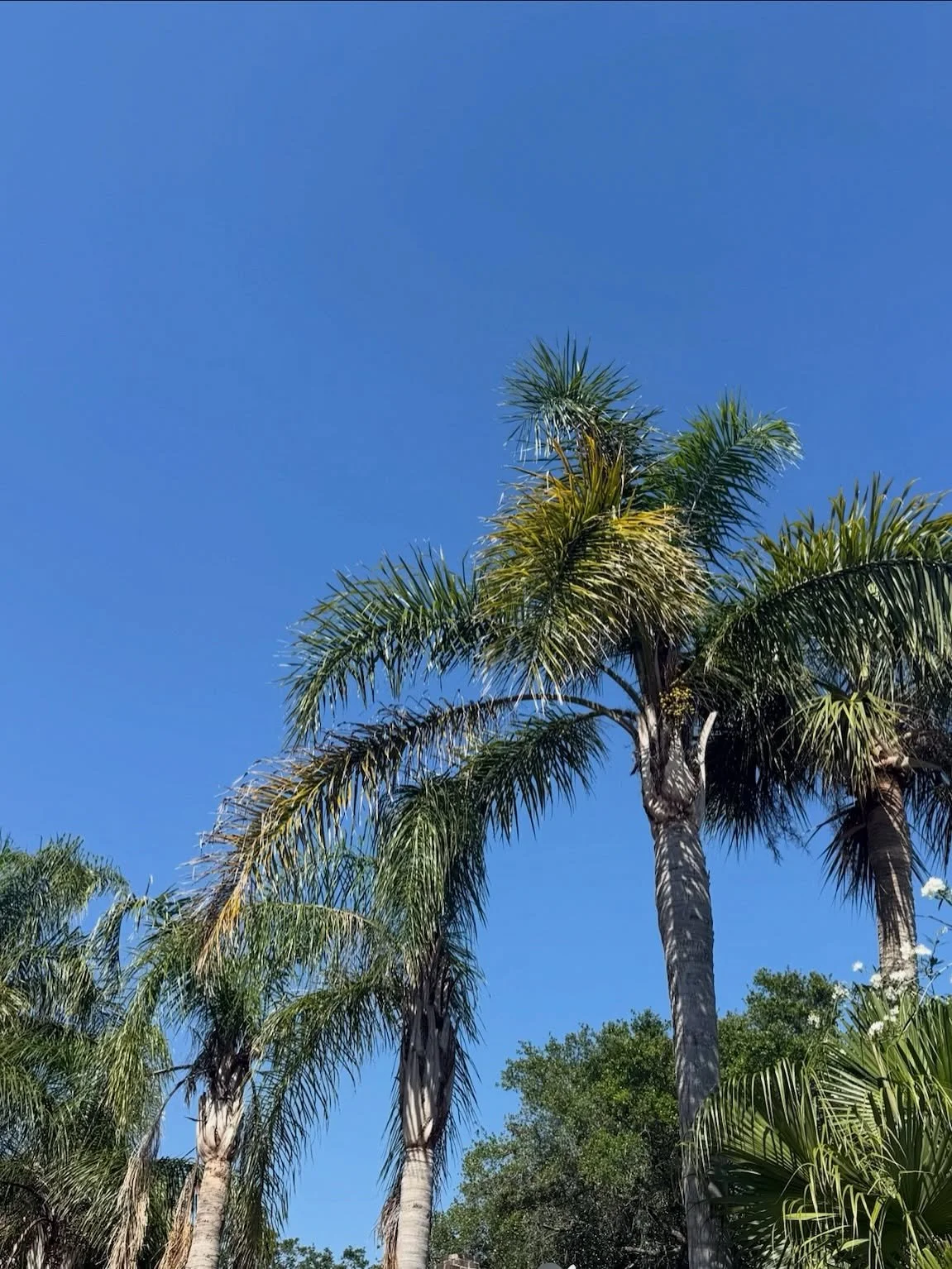 Oceanside cottages, golden light, and that feeling you wish you could put in a bottle ✨Thats Tybee during the winter.