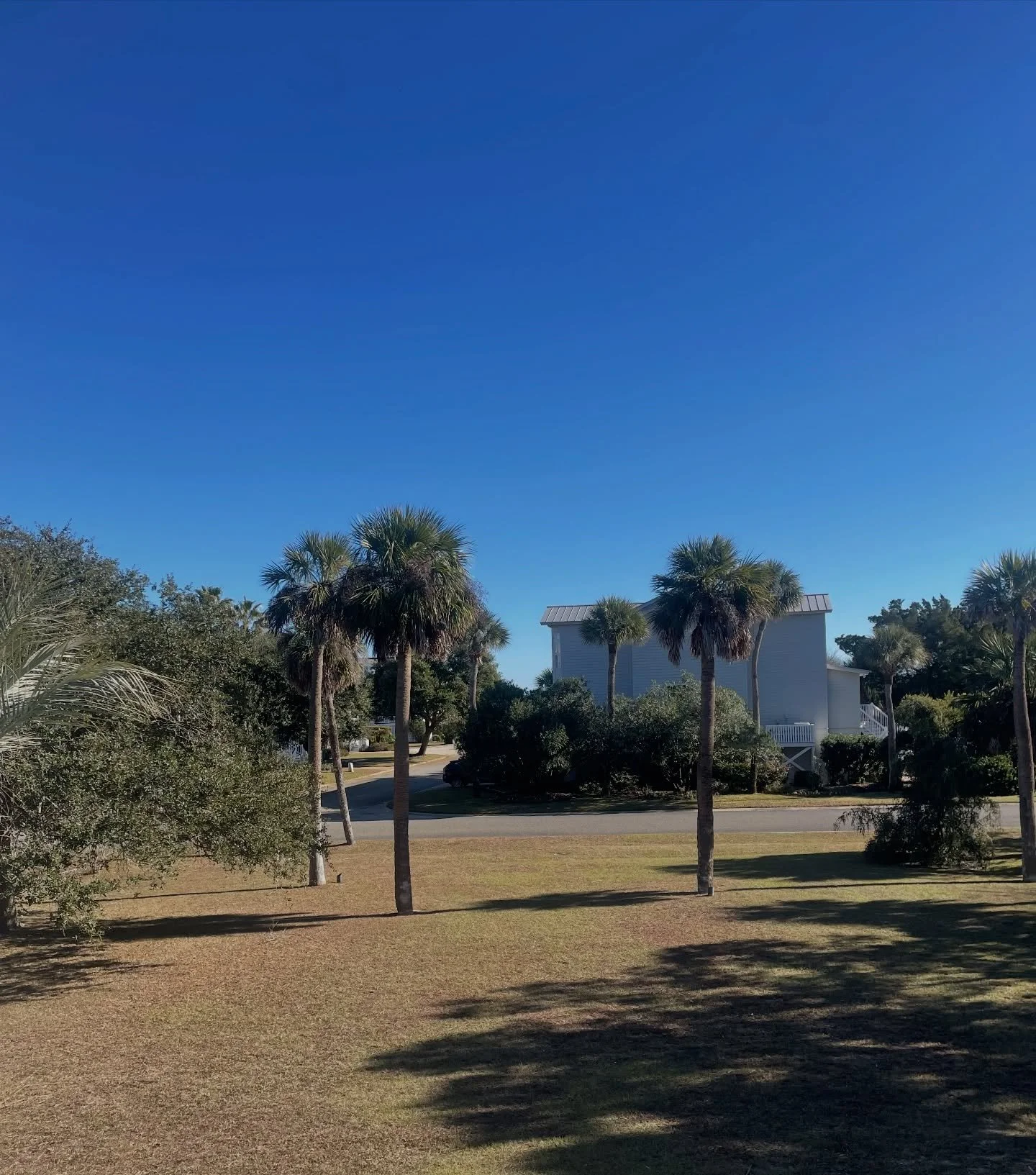 Cozy winter mornings from Officers Row ❄️🎅