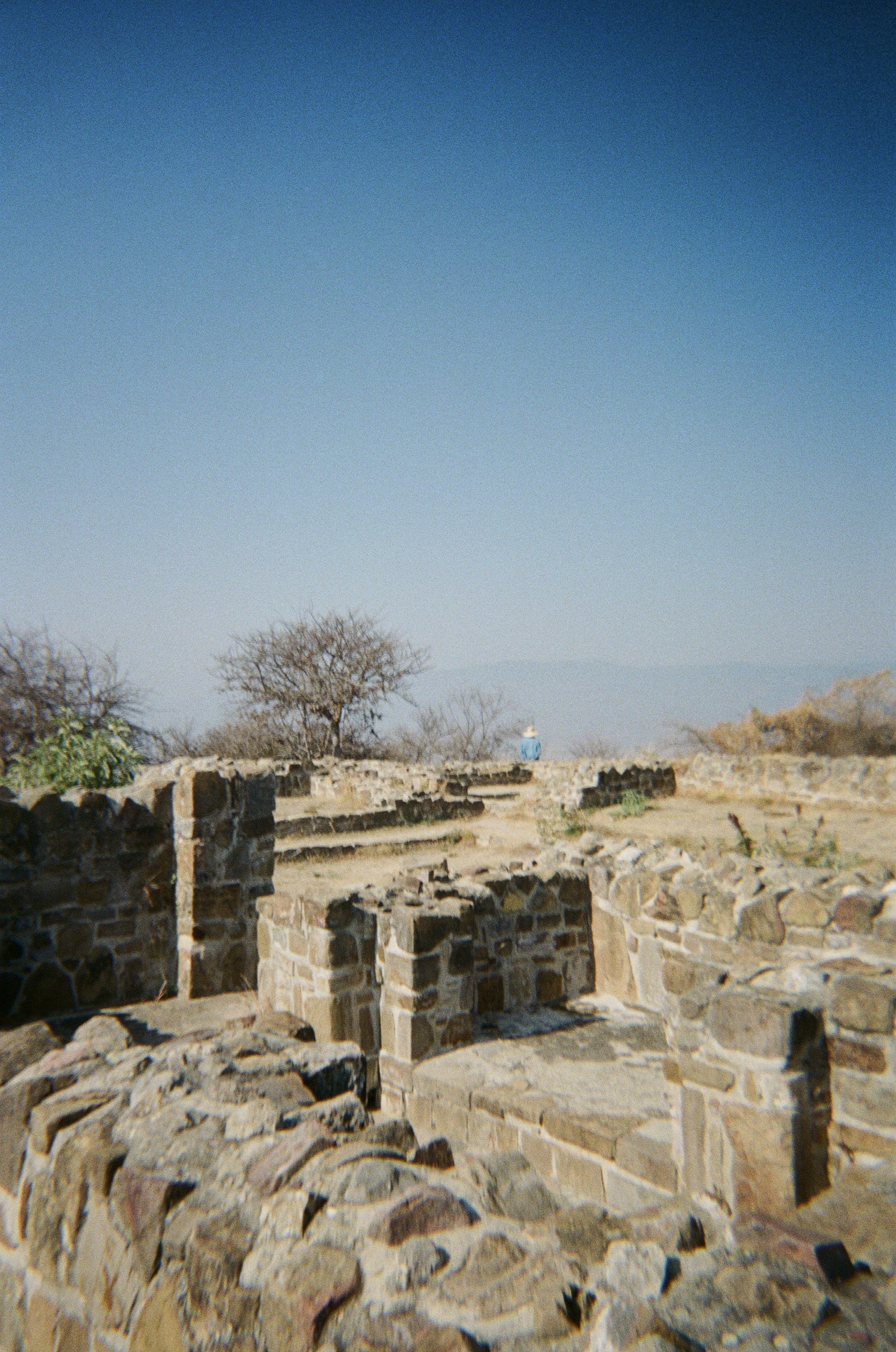 IMG_9194.jpg