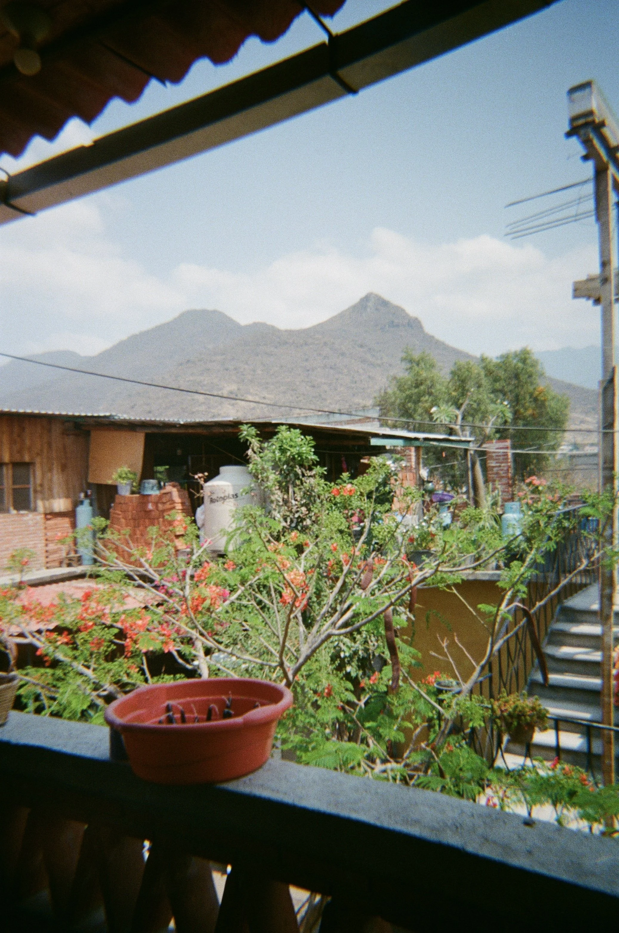 IMG_9178.jpg