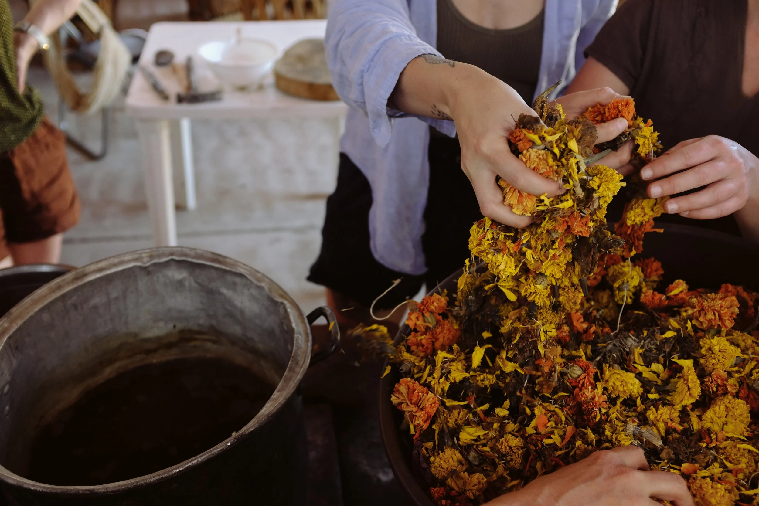 haleynordphotographyloomandhaedraoaxaca-416 copy.jpg