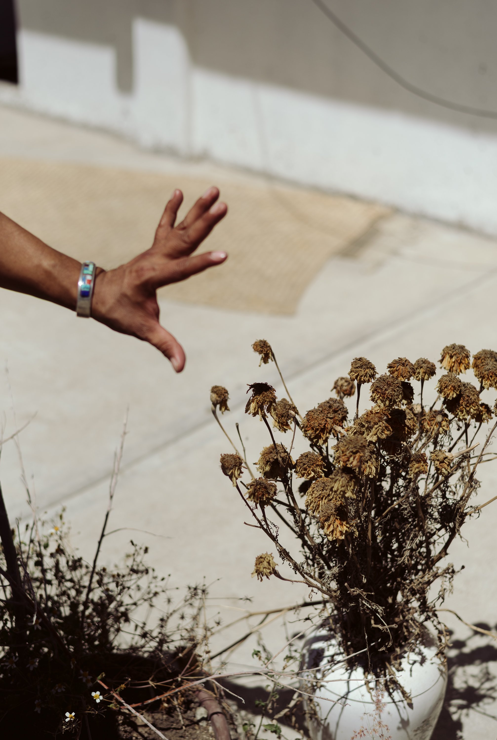 haleynordphotographyloomandhaedraoaxaca-324 copy.jpg