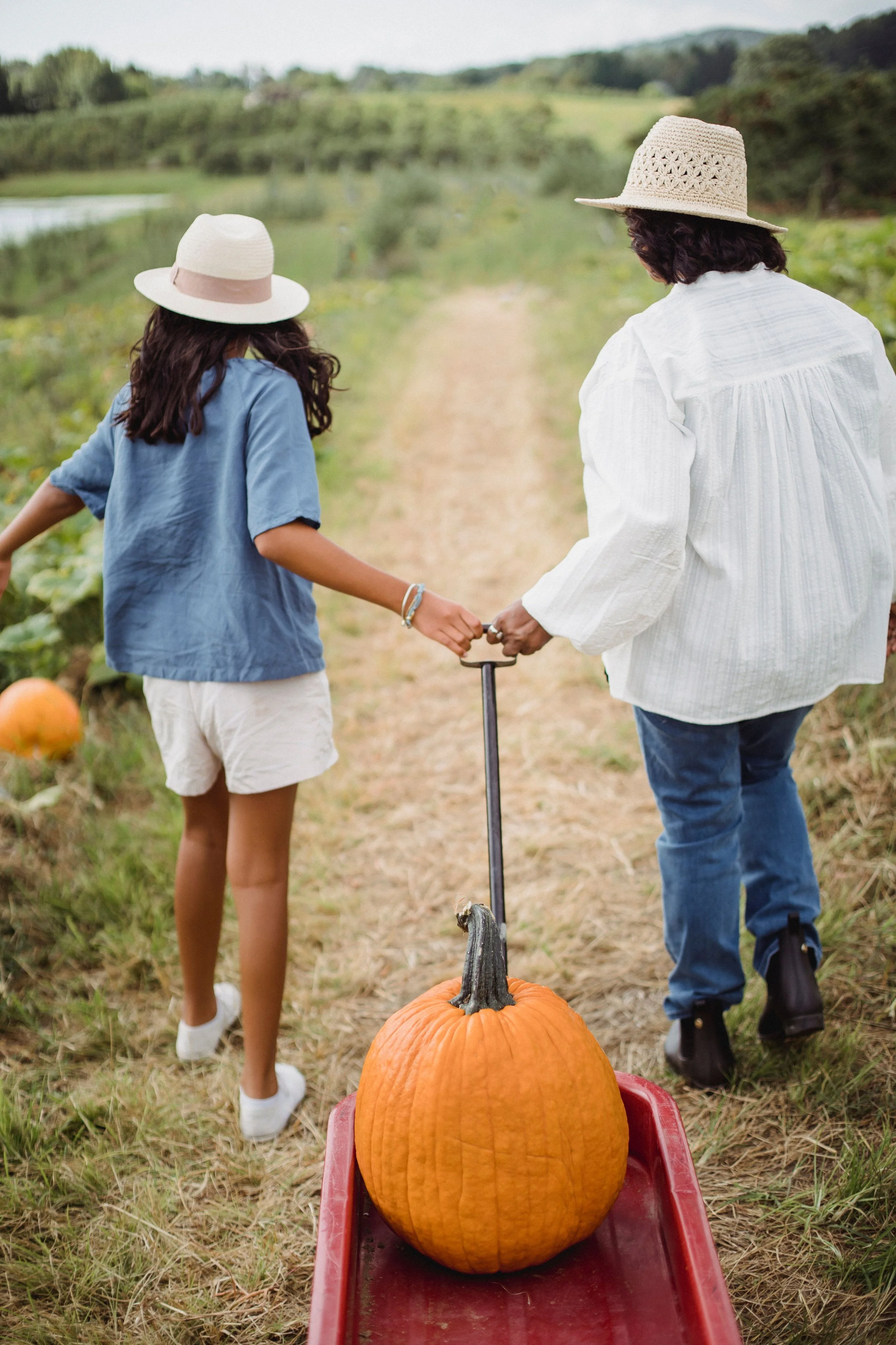 Family enjoying a fall day together at a pumpkin patch