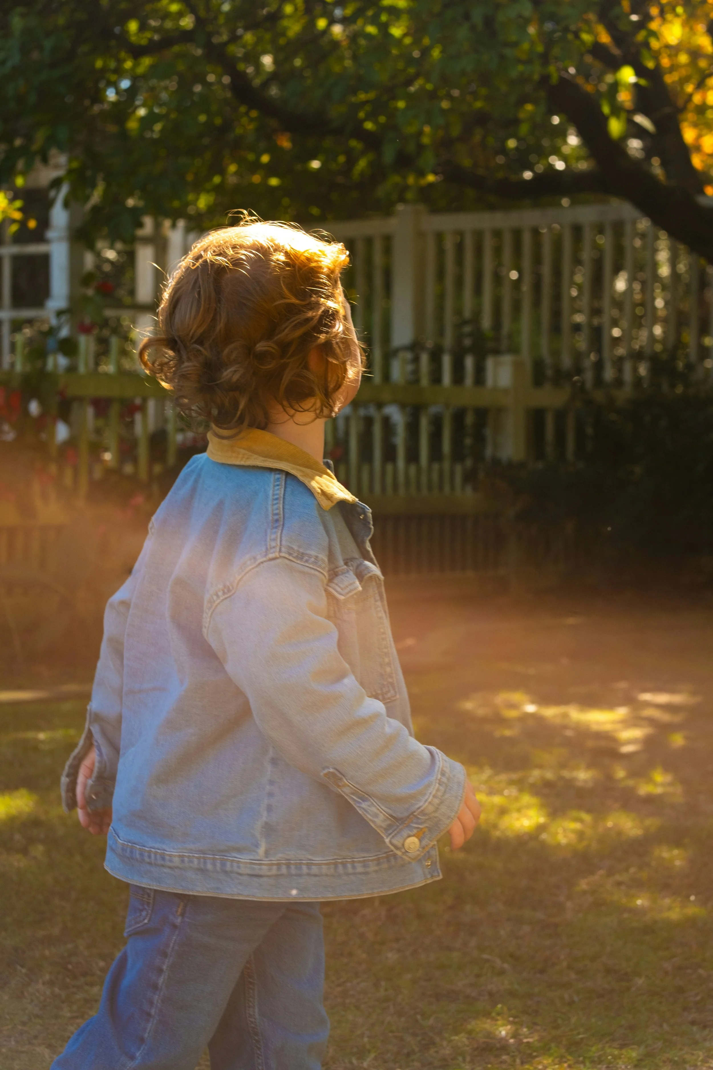 Child walking in the fall