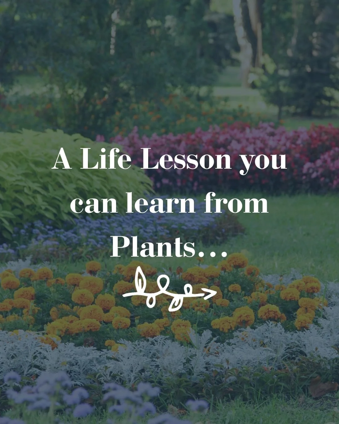 Mother&rsquo;s Day Weekend and landscaping had me think about the lessons you can learn from plants&hellip;

It is okay to outgrow things! It is okay to outgrow your space! Sometimes, in order to keep growing, you just need to change pots!