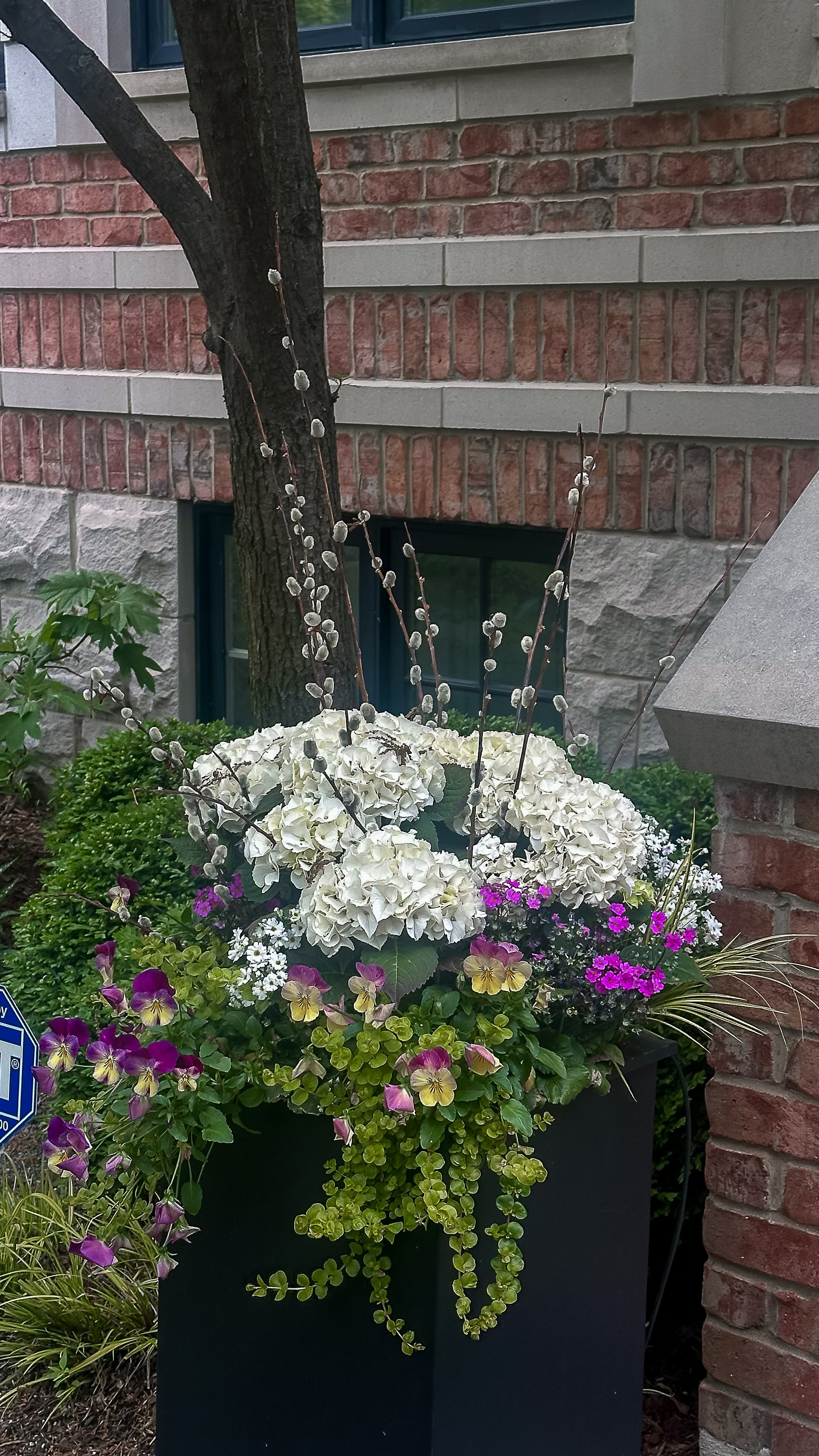 spring container planting chicago.jpg