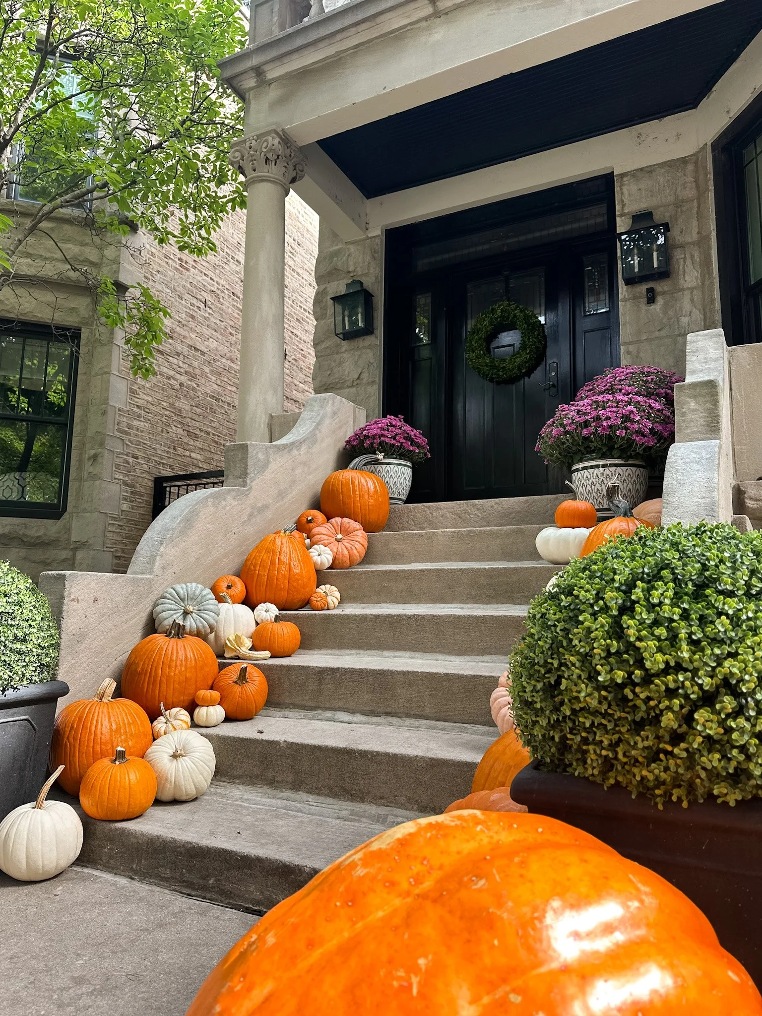 grand prize pumpkin delivery chicago.jpg