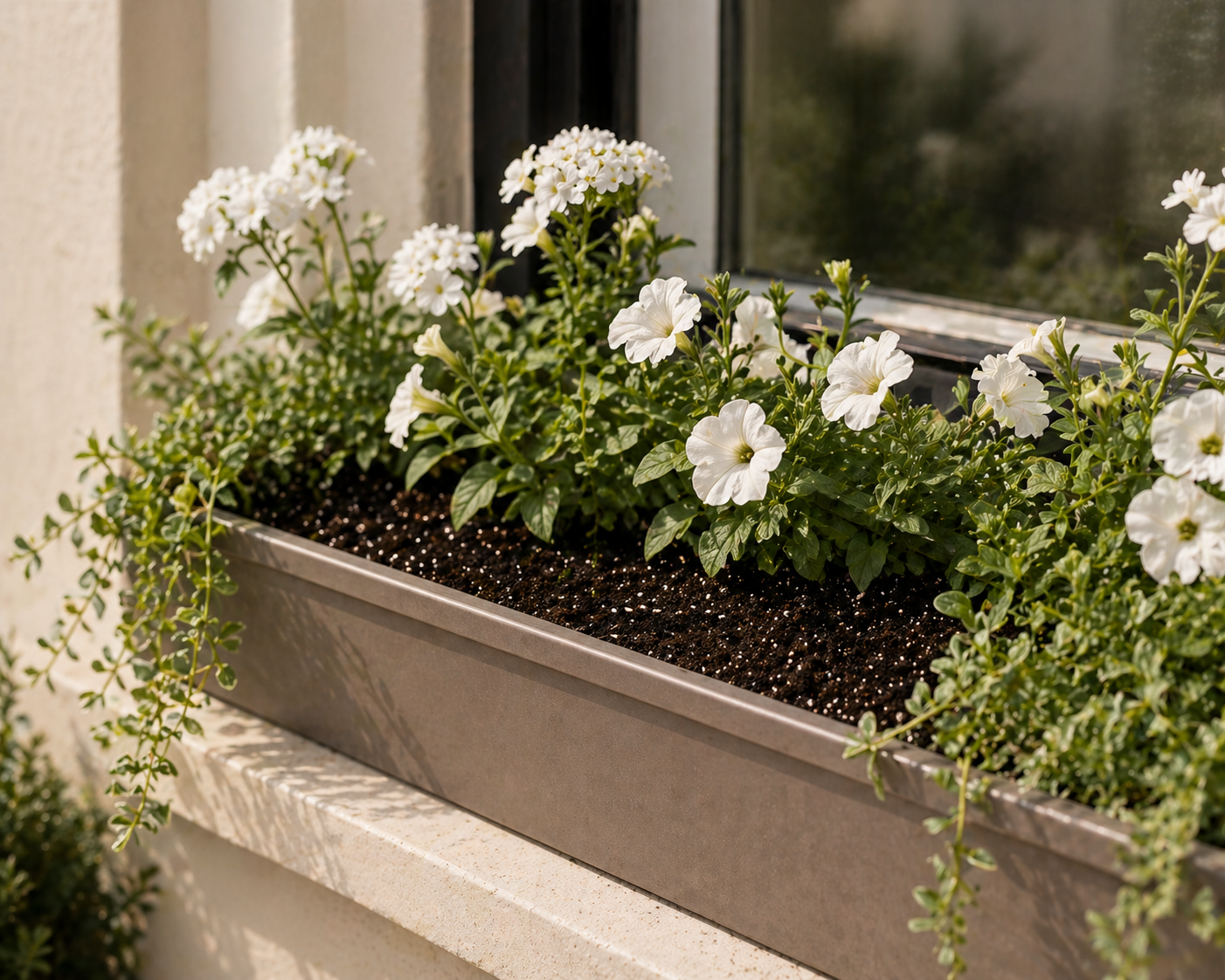 Fresh Soil Fill - Window Boxes