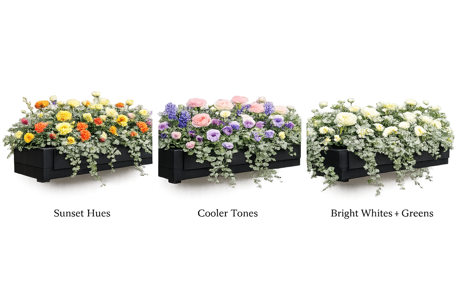 Curated spring window box arrangements.png