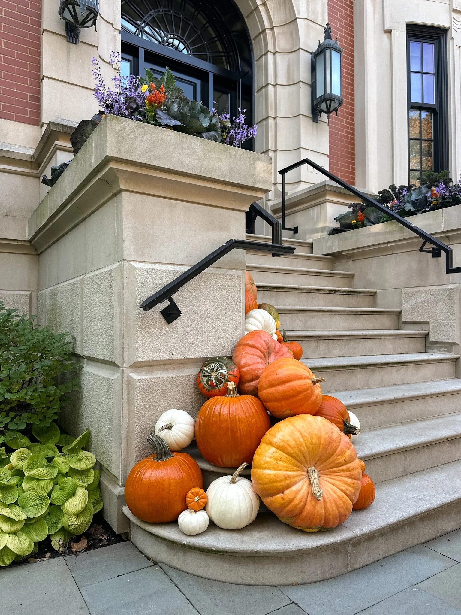 chicago pumpkin styling.jpg
