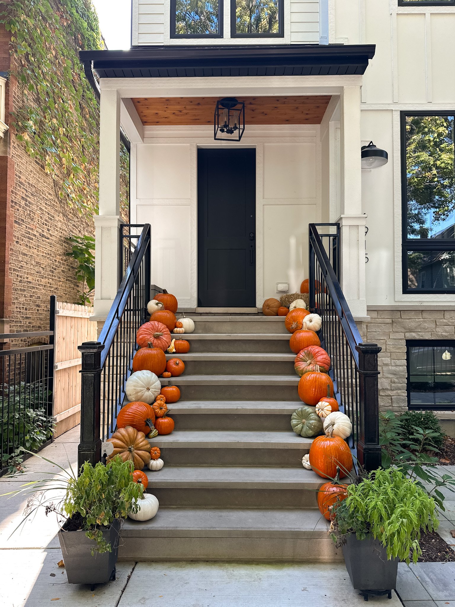 chicago northside pumpkin delivery.jpg