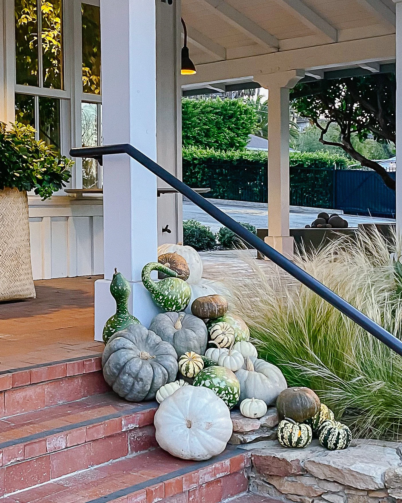 aesthetic pumpkins.jpg