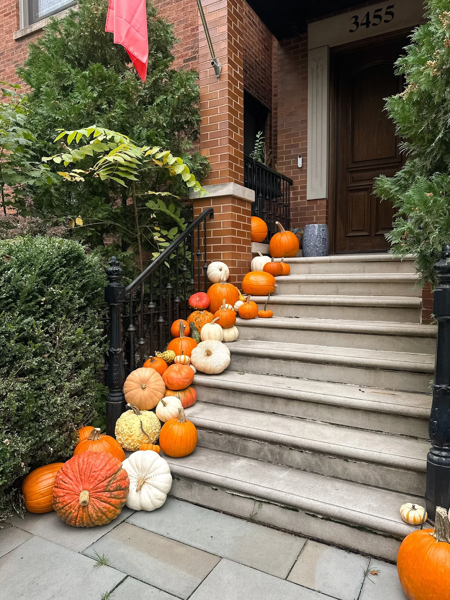 lakeview pumpkin delivery.jpg