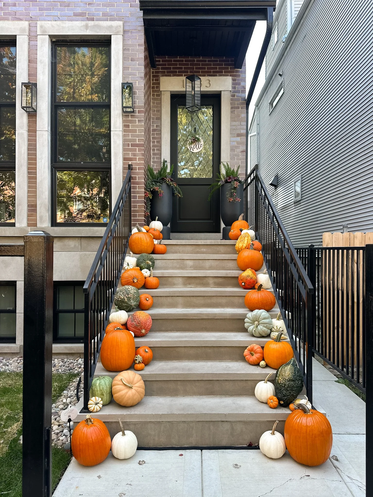 lincoln park pumpkin displays.jpg