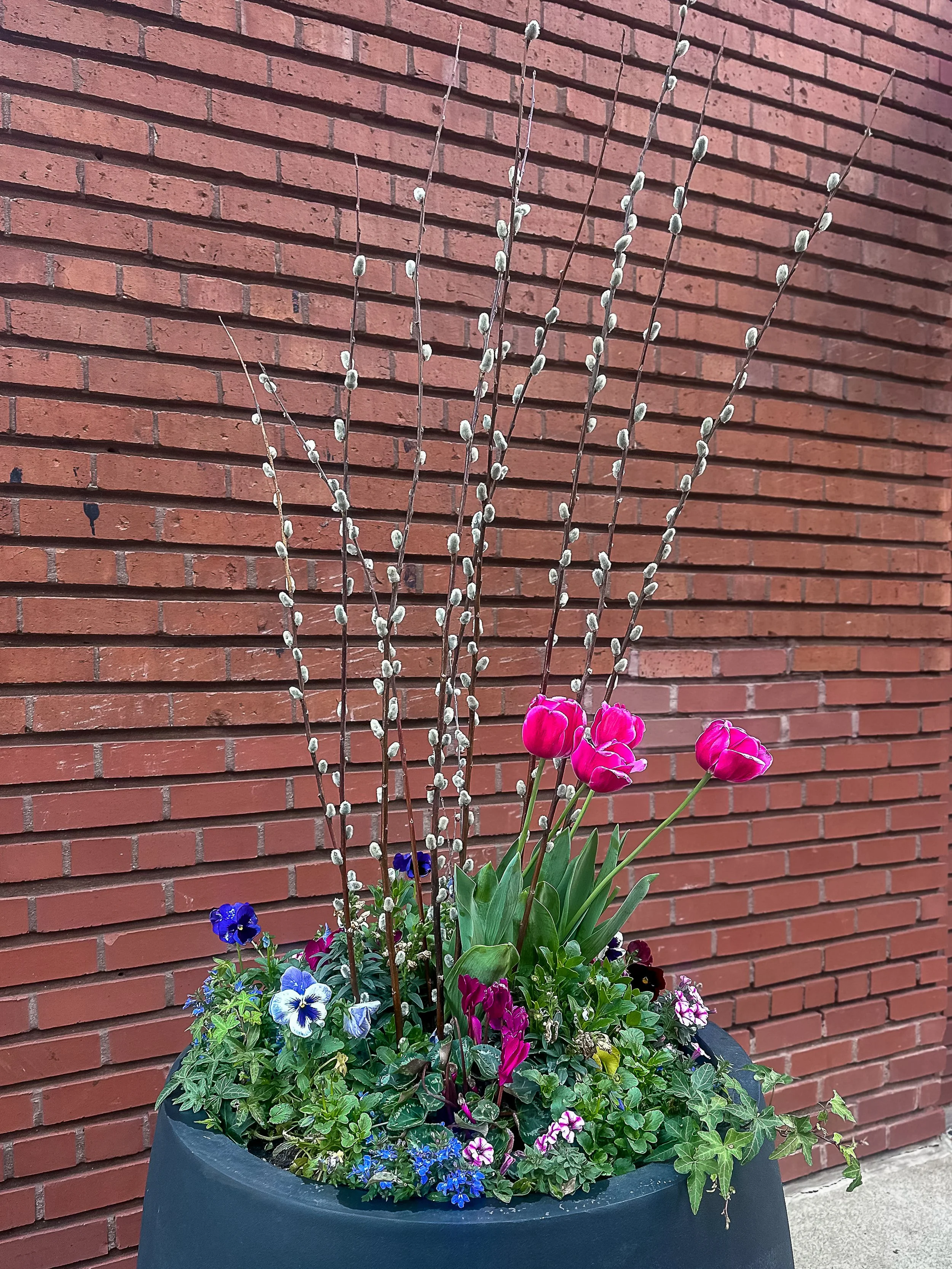 Spring Pots & Containers
