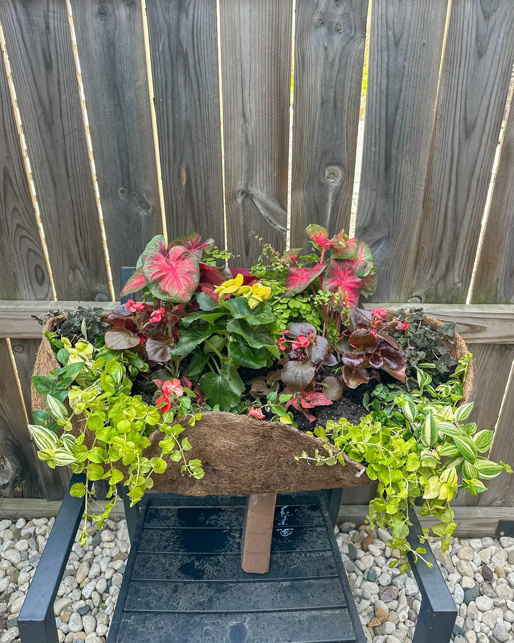 chicago window box planting company.jpg
