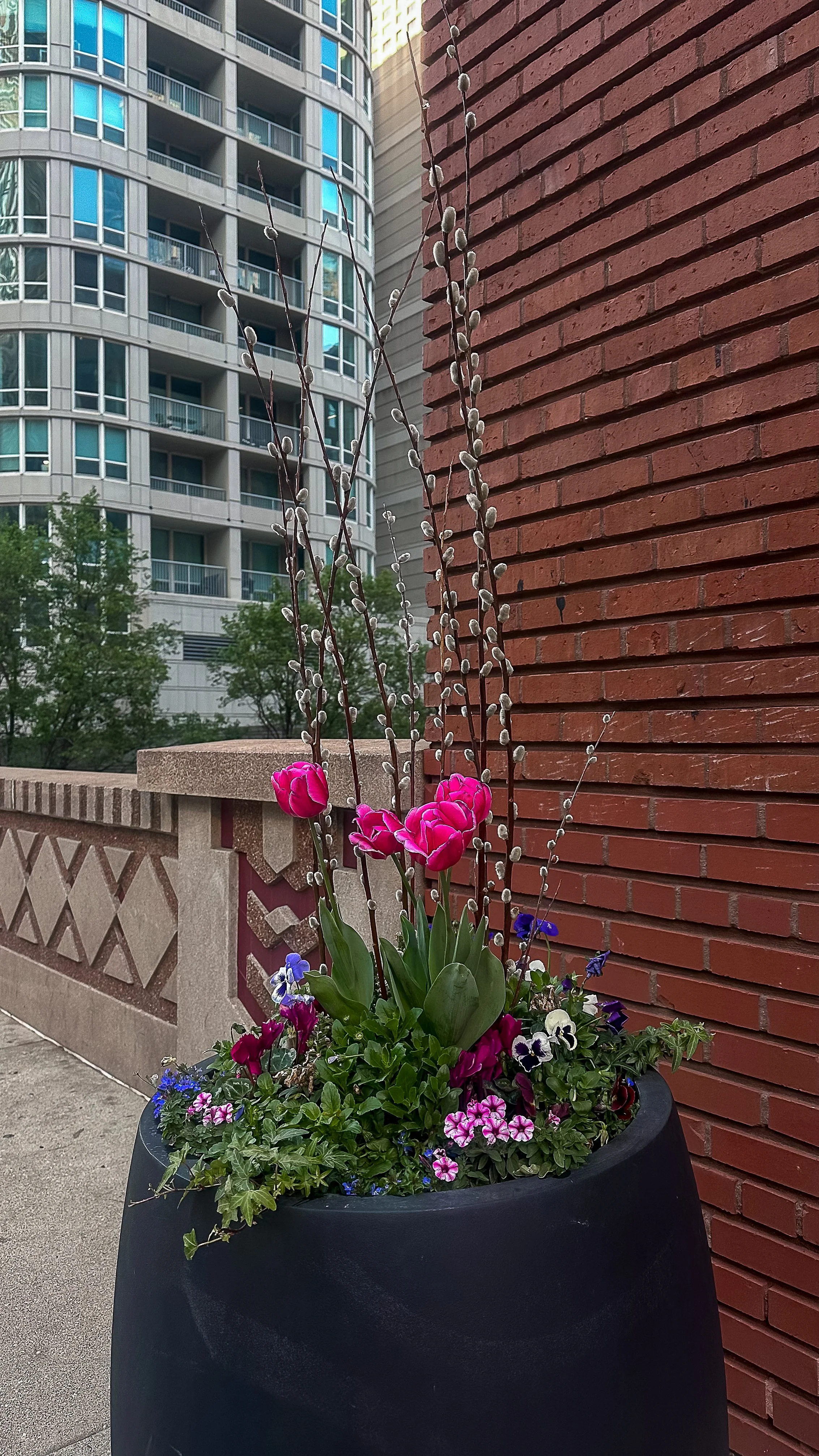 spring container plantings chicago.jpg