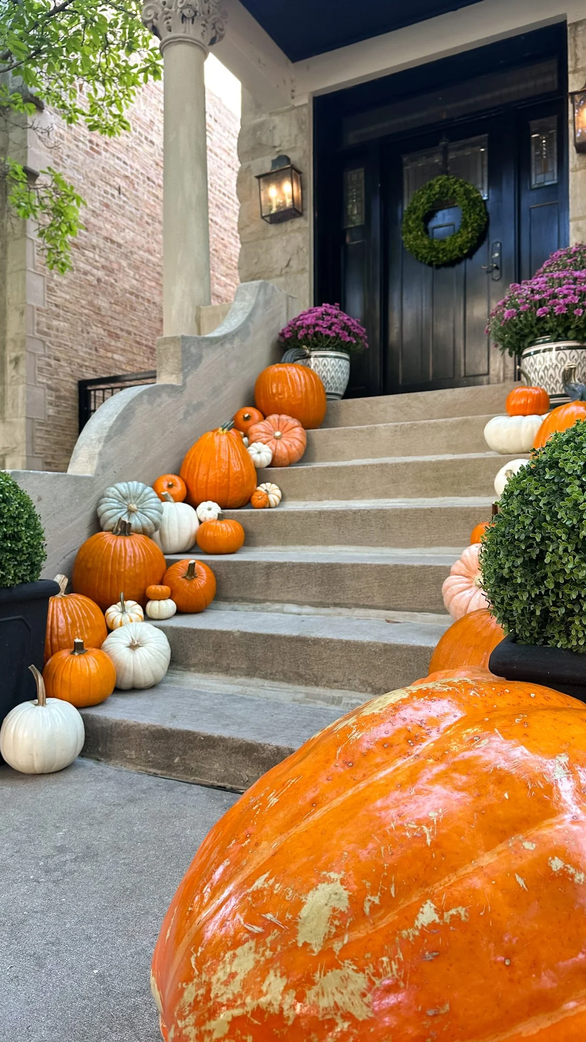 Front steps of a brownstone house decorated with numerous pumpkins in orange, white, and green, along with gourds and fall foliage for fall or Halloween celebration.