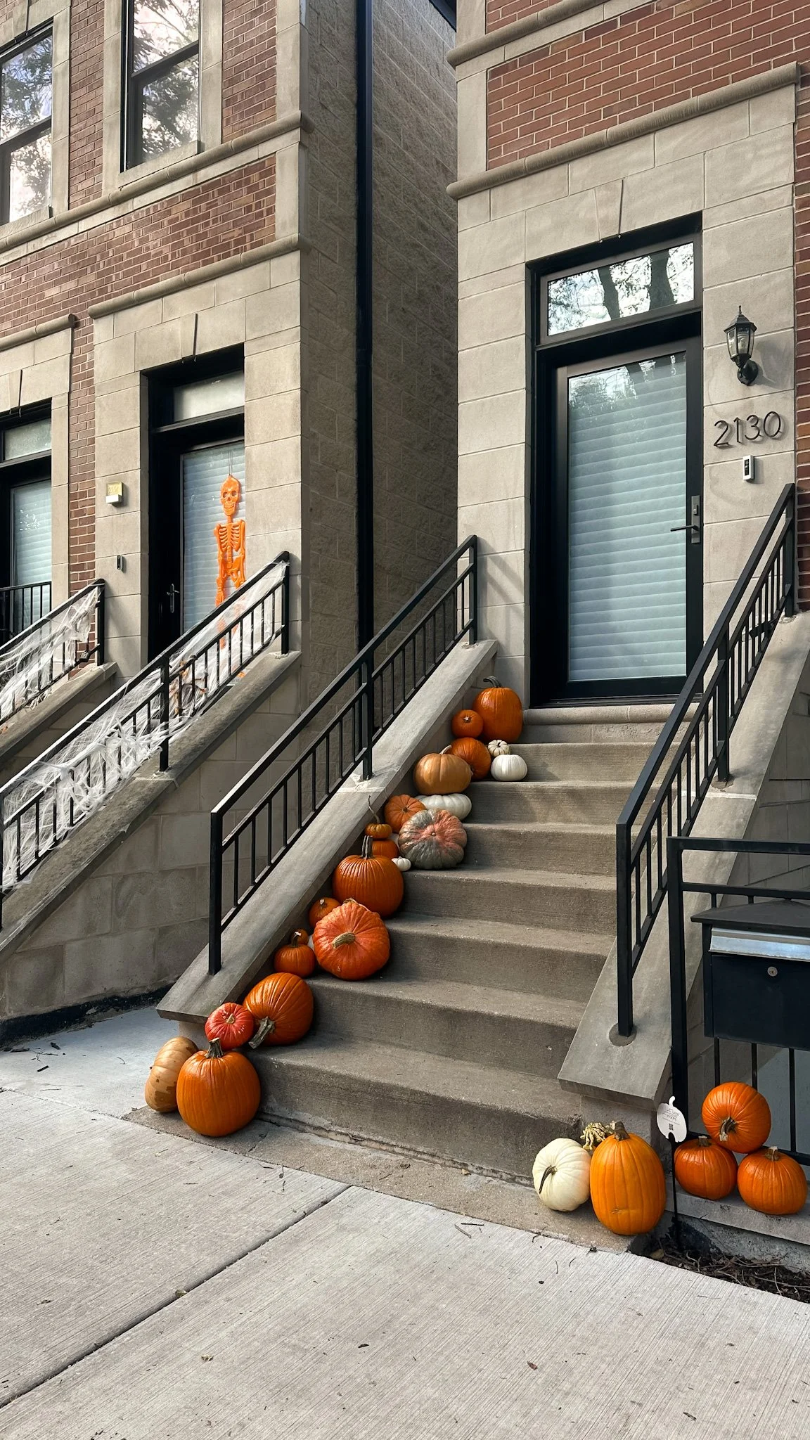 bucktown pumpkin delivery.jpg
