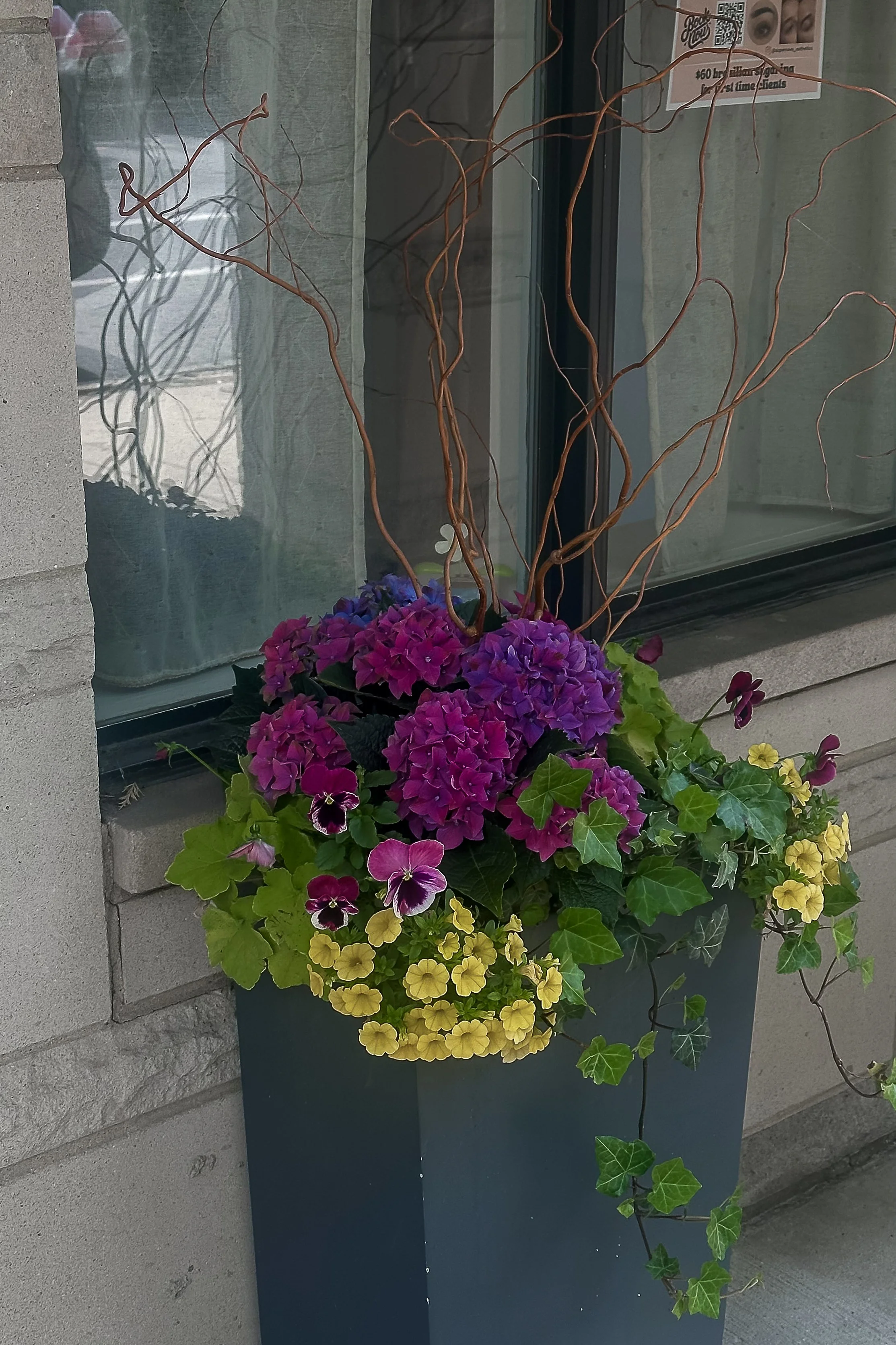 spring container planters in chicago.jpg