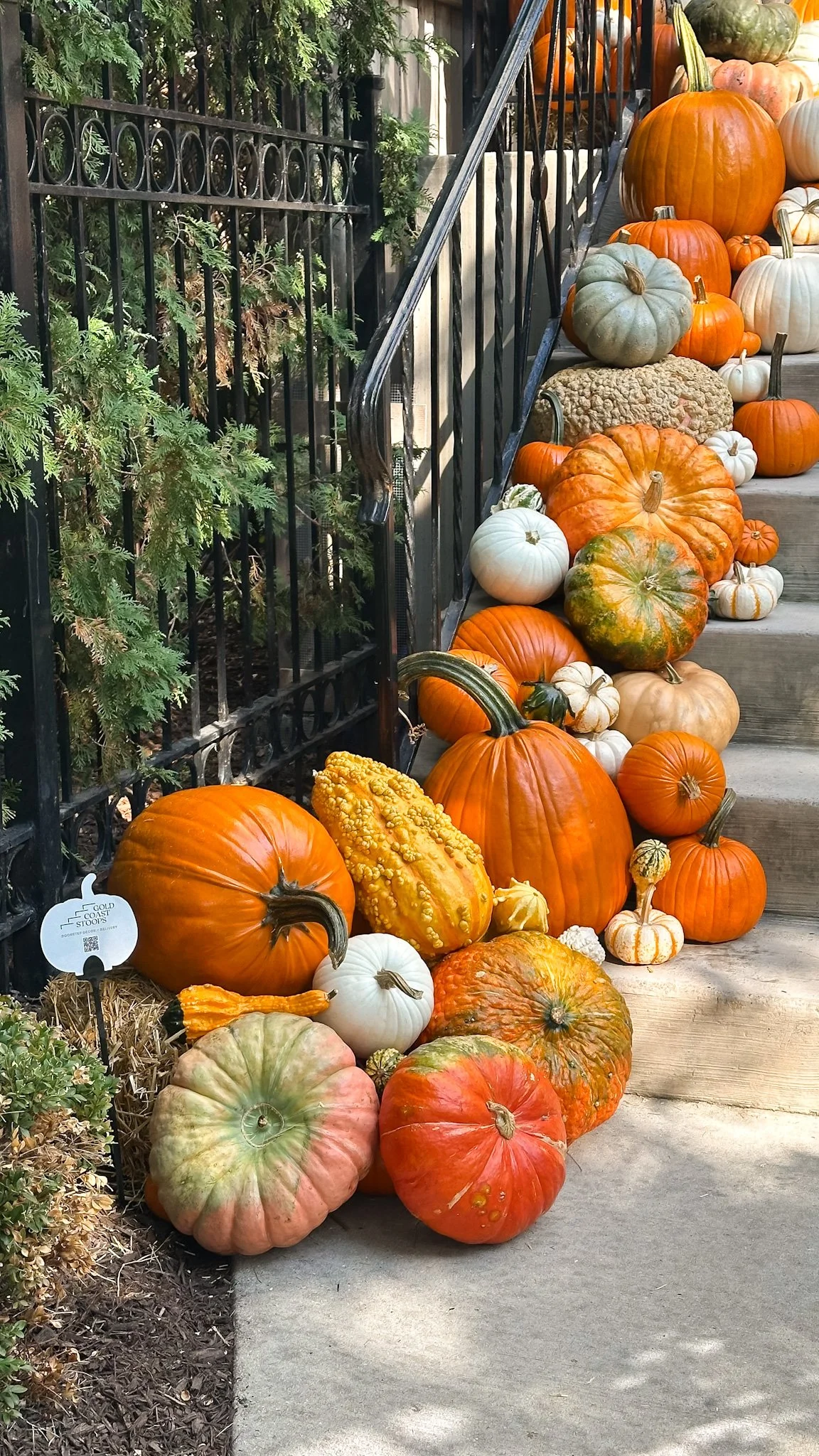 pumpkin porch piles chicago.jpg
