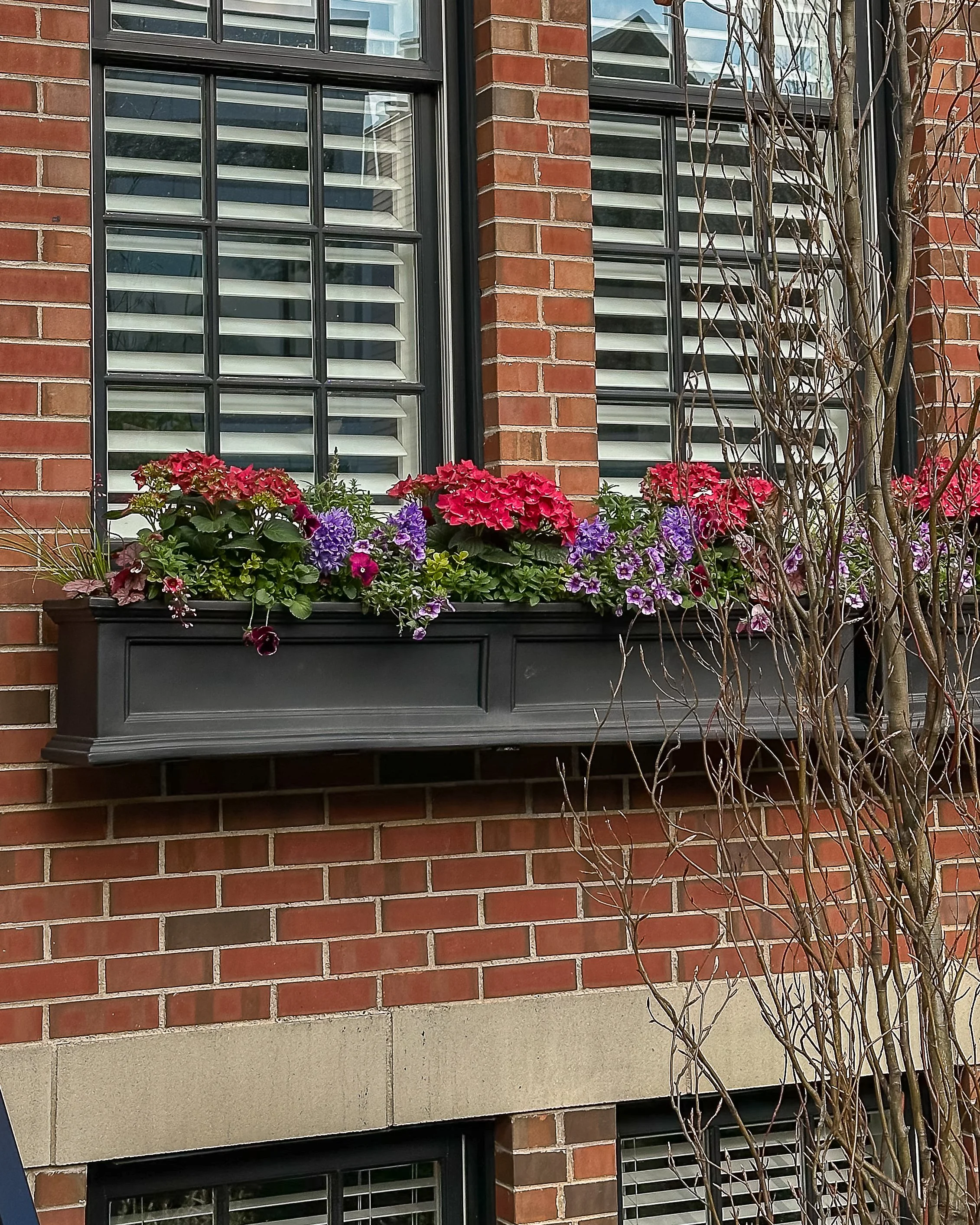 Spring Window Boxes