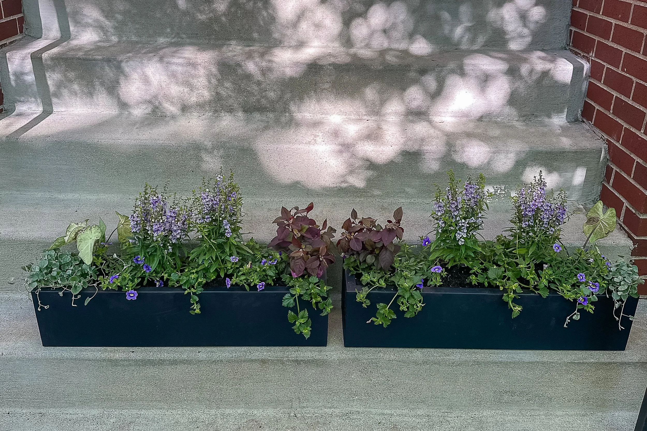 summer window boxes chicago gardening company.jpg