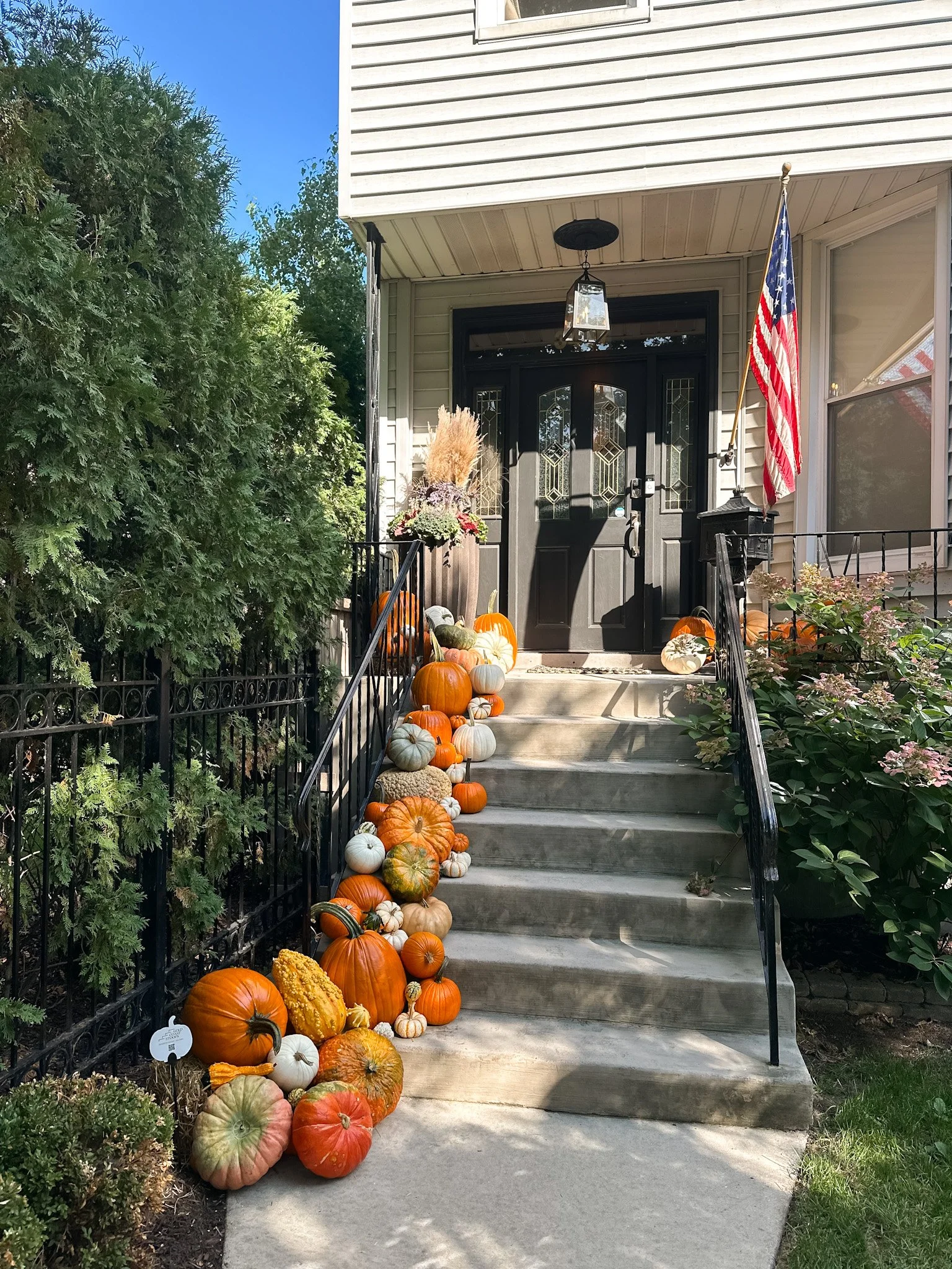 lakeview pumpkin porches.jpg