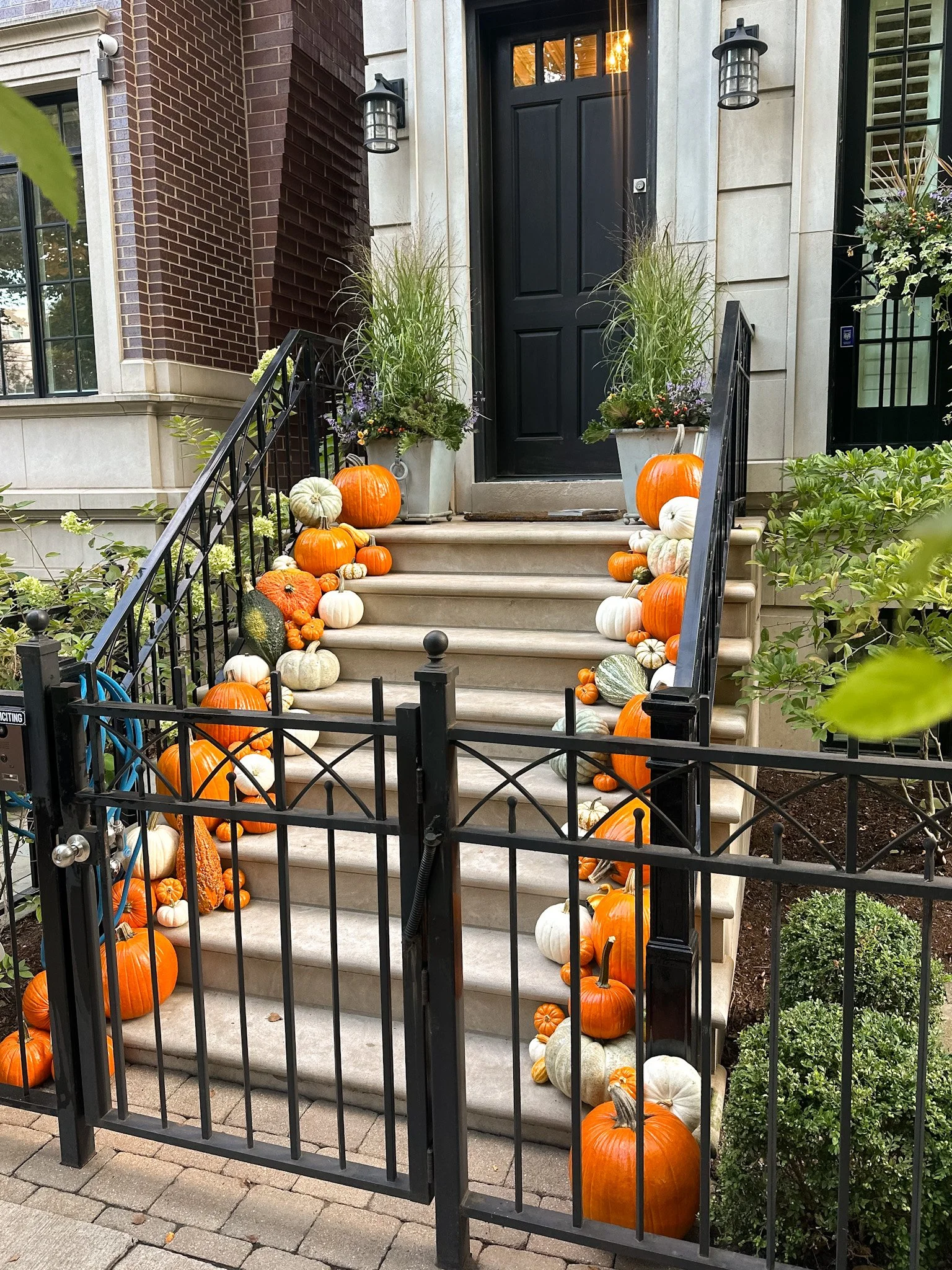 chicago pumpkin step styling.jpg