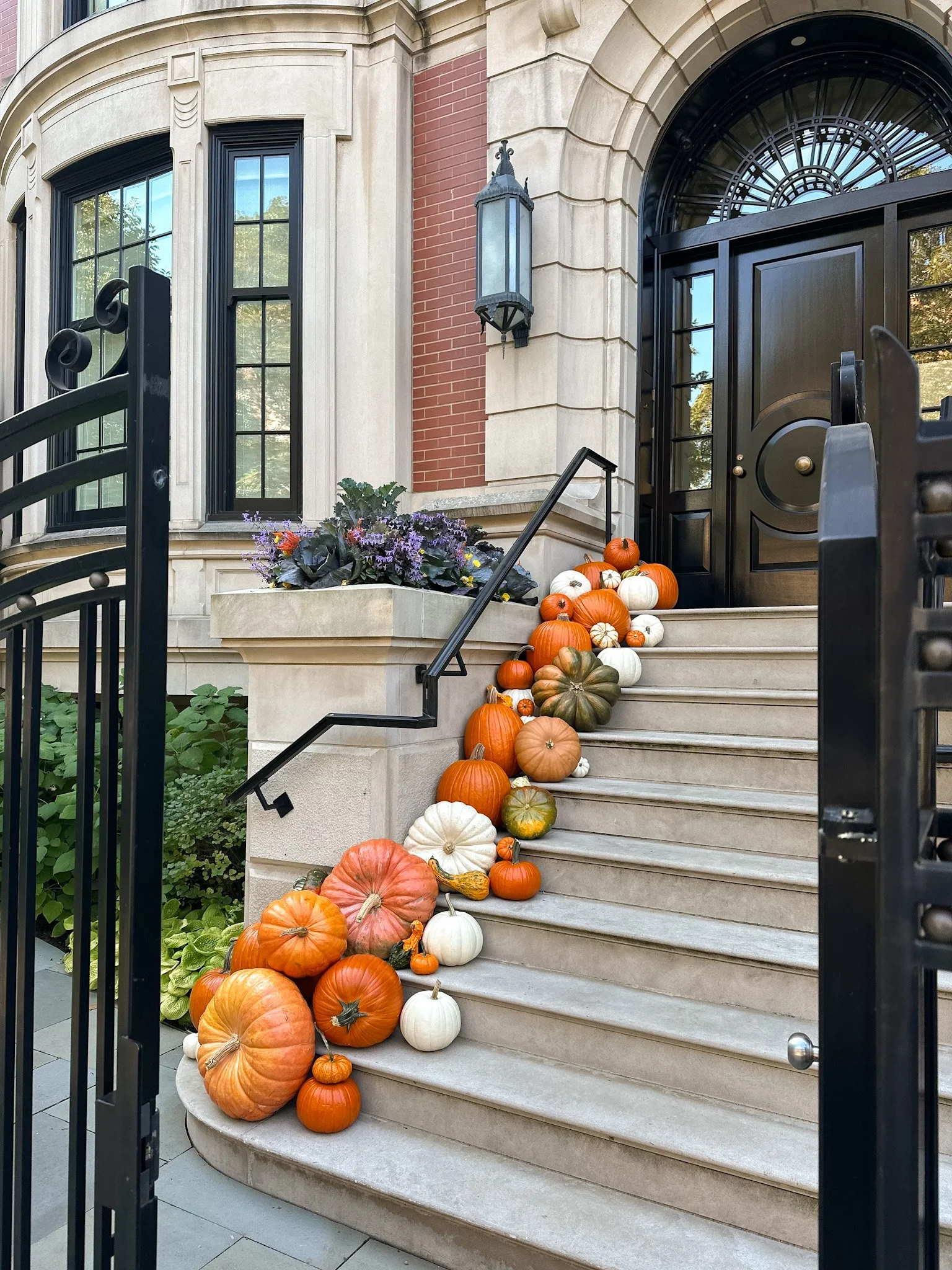 Beautiful pumpkin displays on a gorgeous Chicago stoop off of Southport in Lakeview.