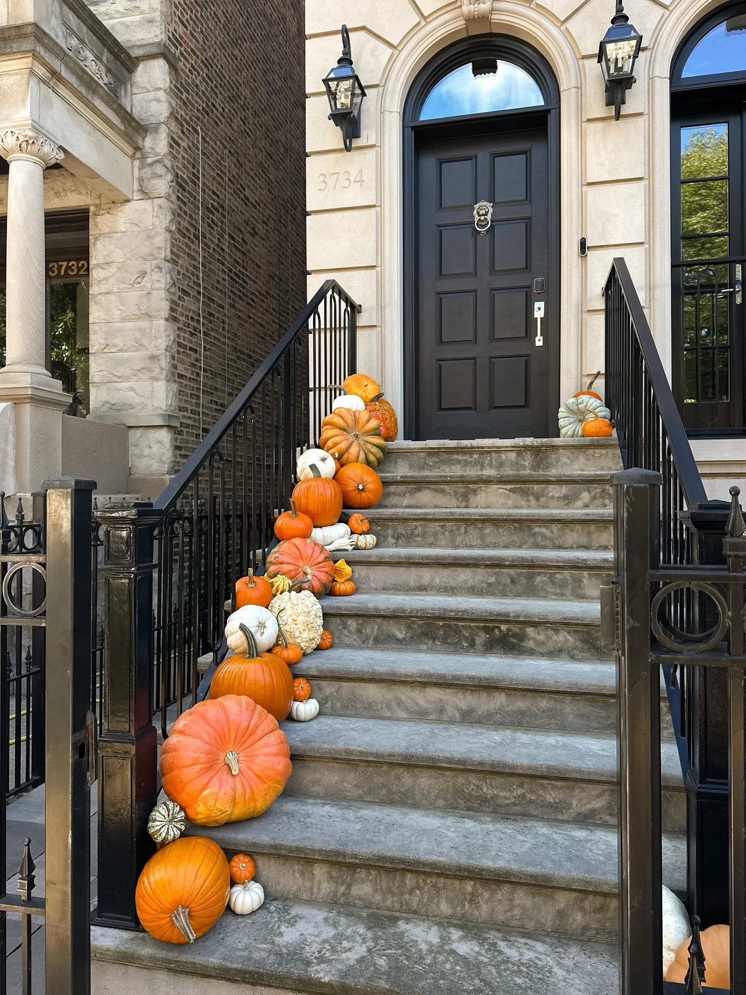 chicago pumpkin delivery service.jpg