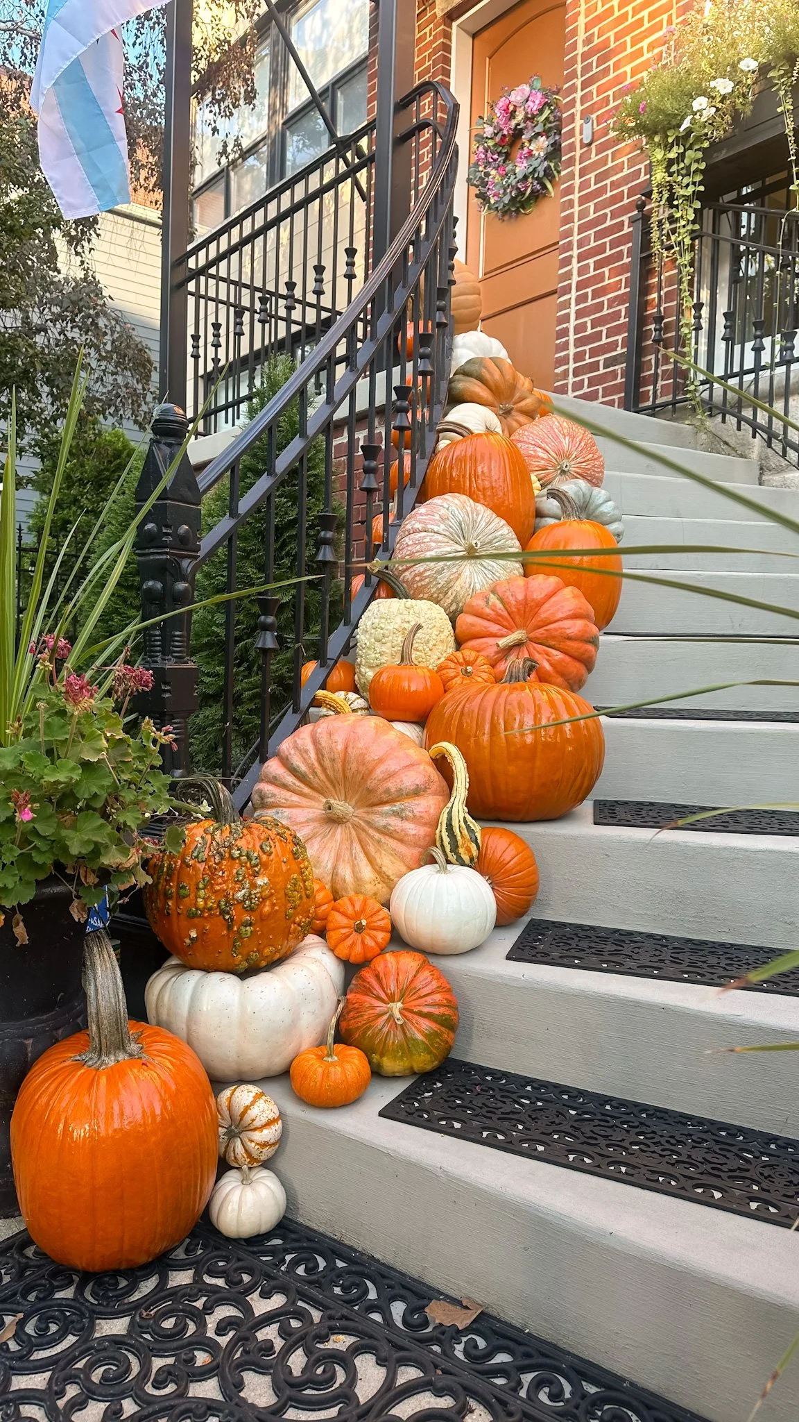 chicago pumpkin delivery and design.jpg