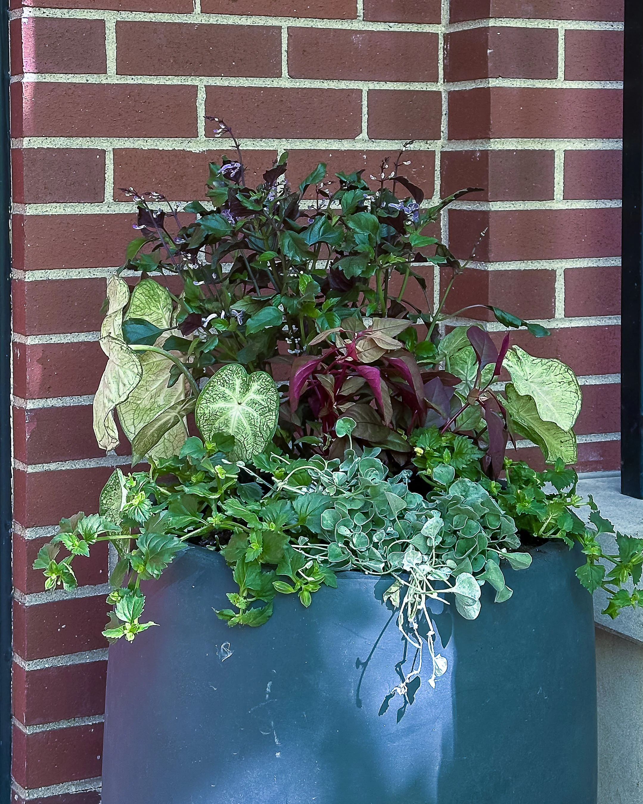 summer planters chicago.jpg
