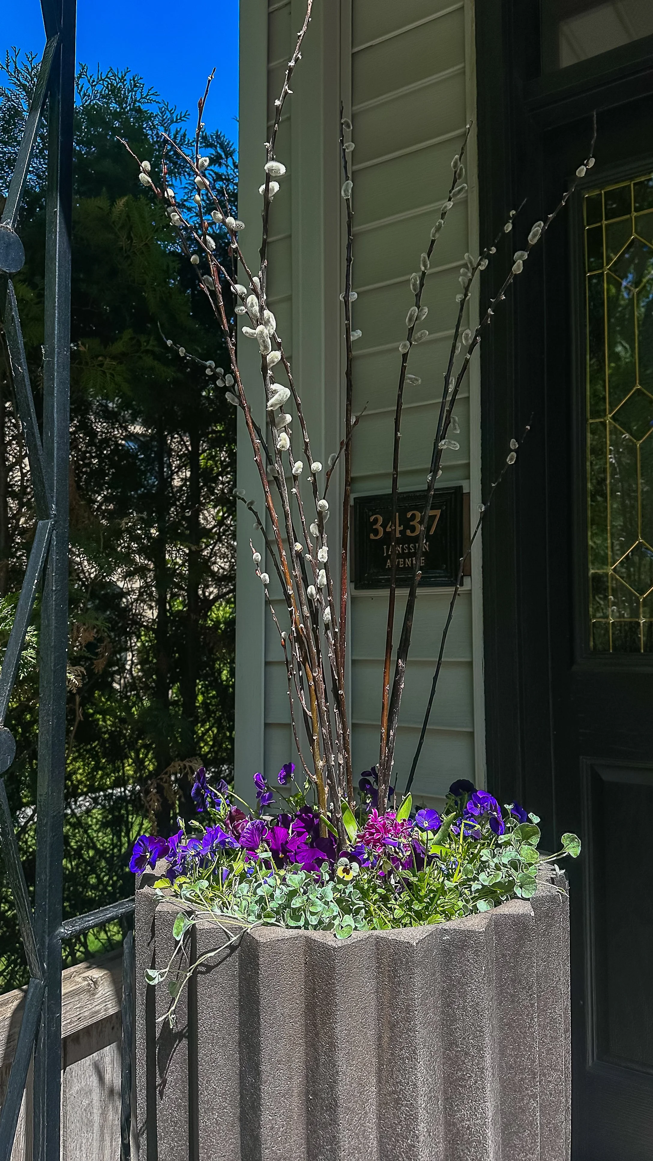 spring container gardener chicago.jpg
